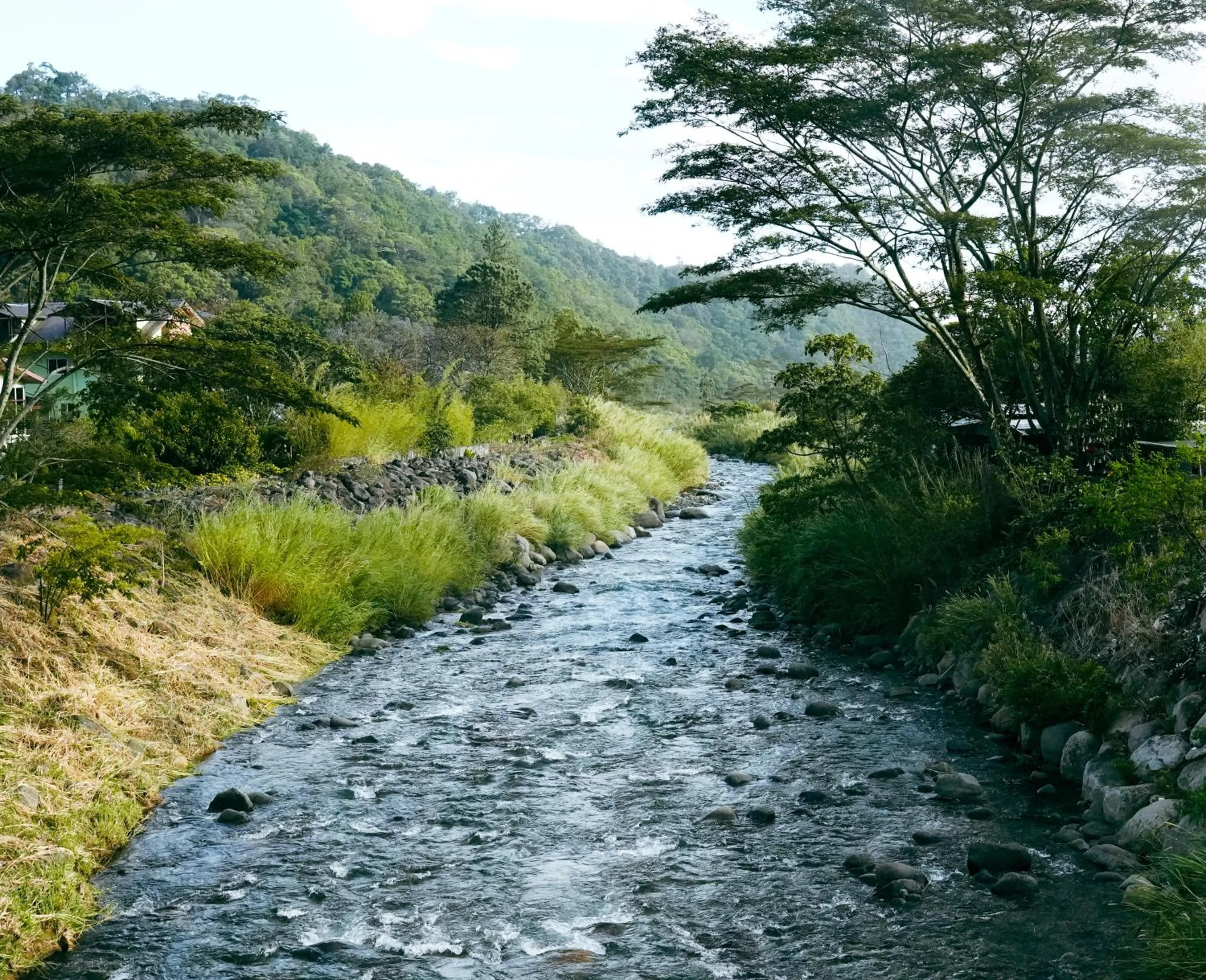 Natural landscape in Socialtel Boquete