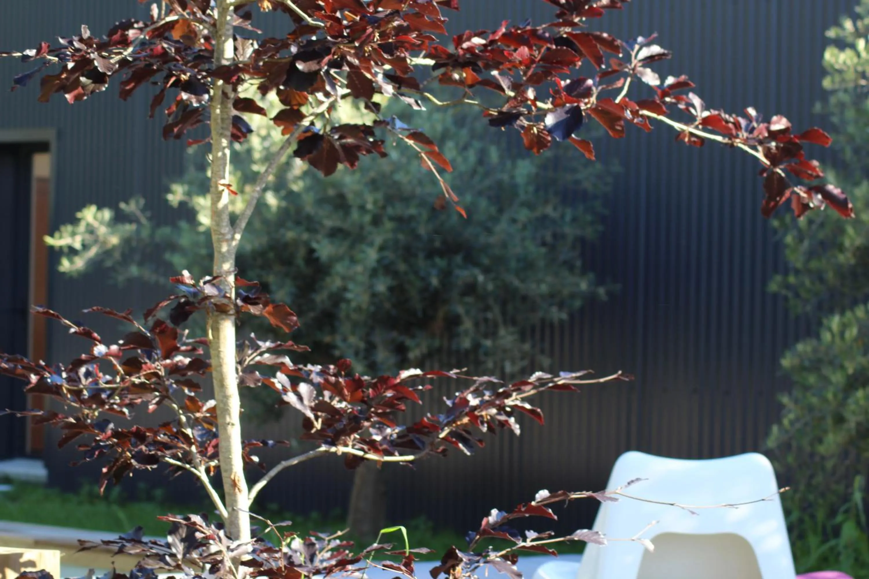 Property building in Chambres d'Hôtes 1001 NUITS Montalivet