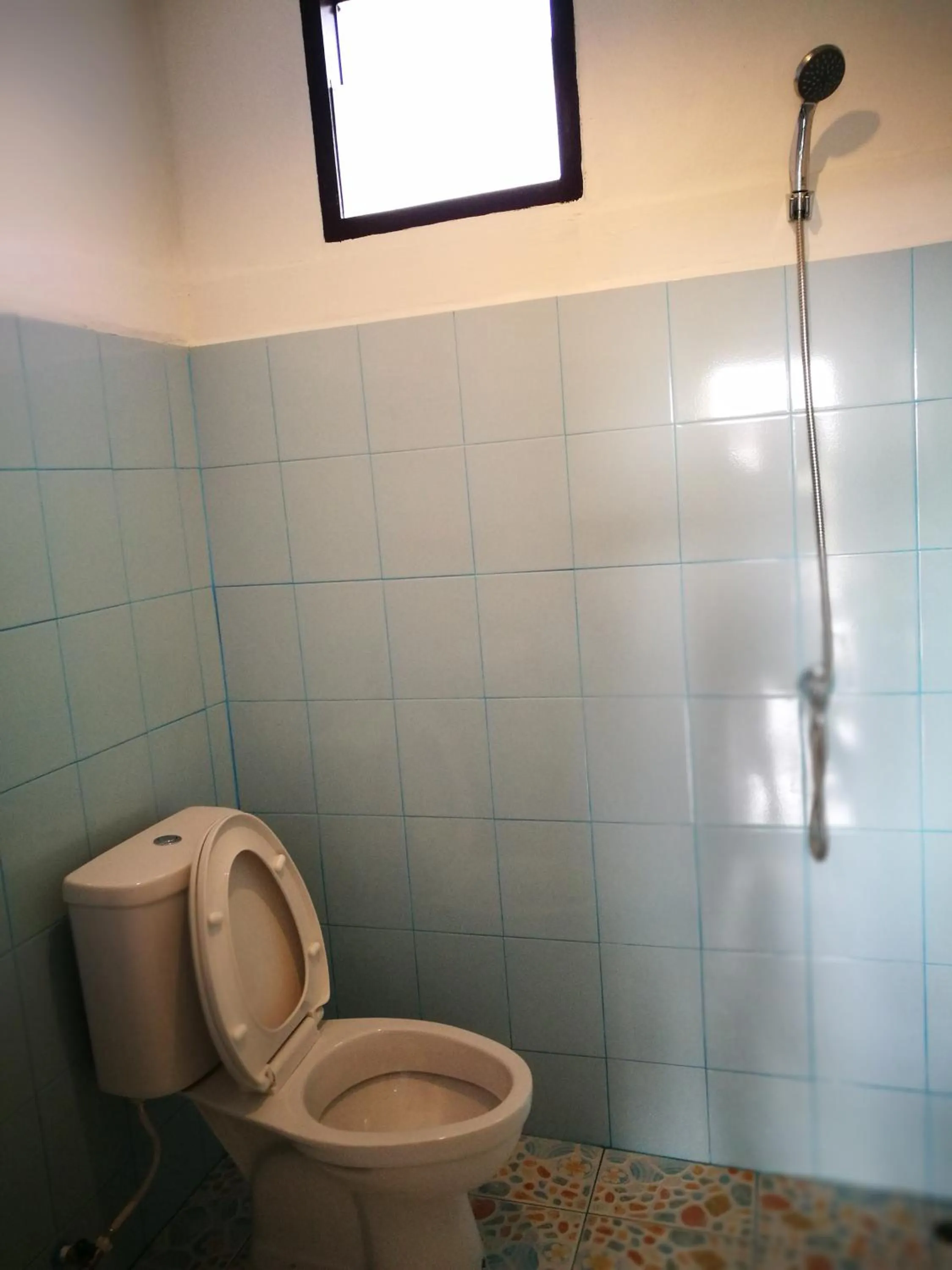 Bathroom in Smiley frog