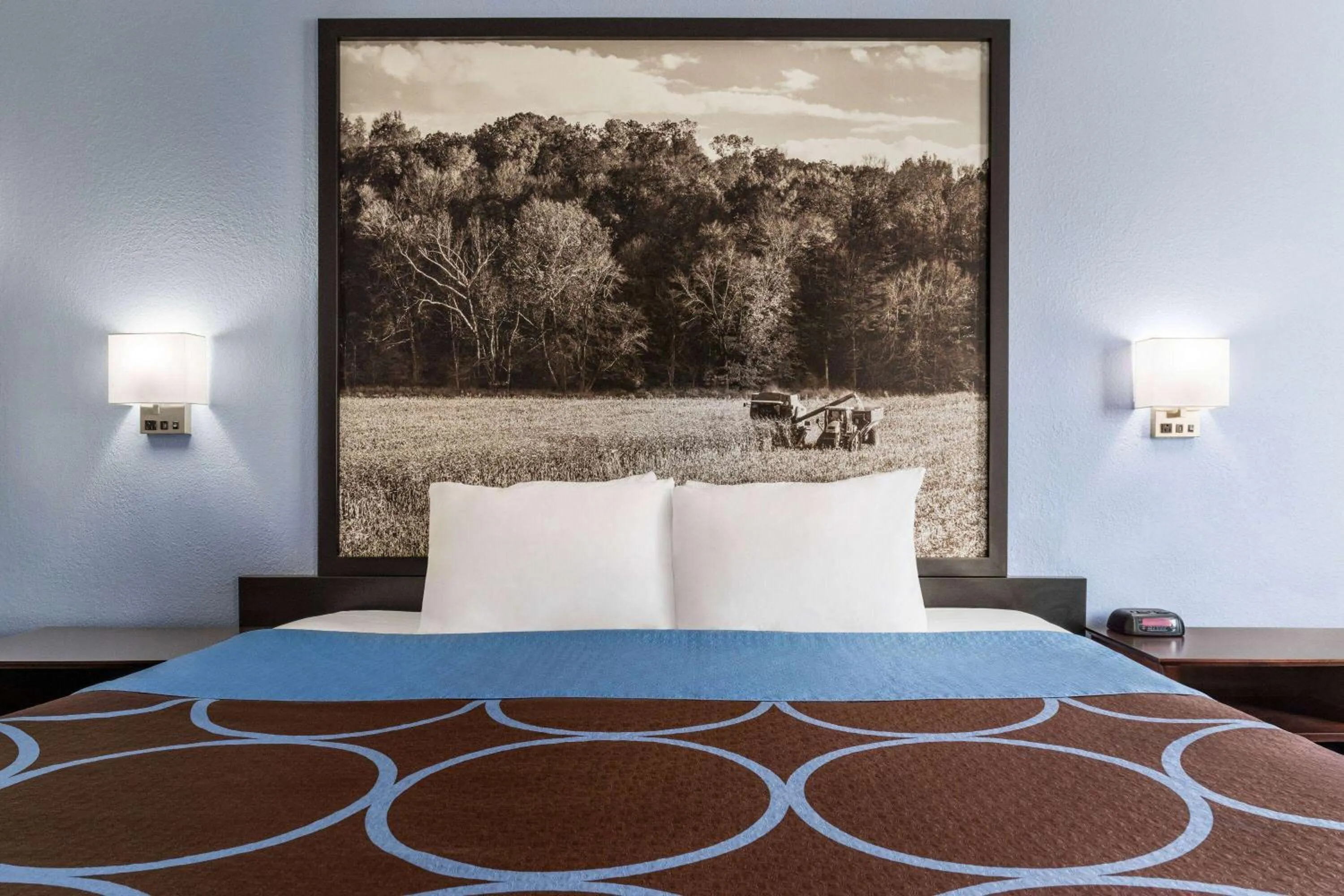 Photo of the whole room, Bed in Super 8 by Wyndham Columbus Edinburgh