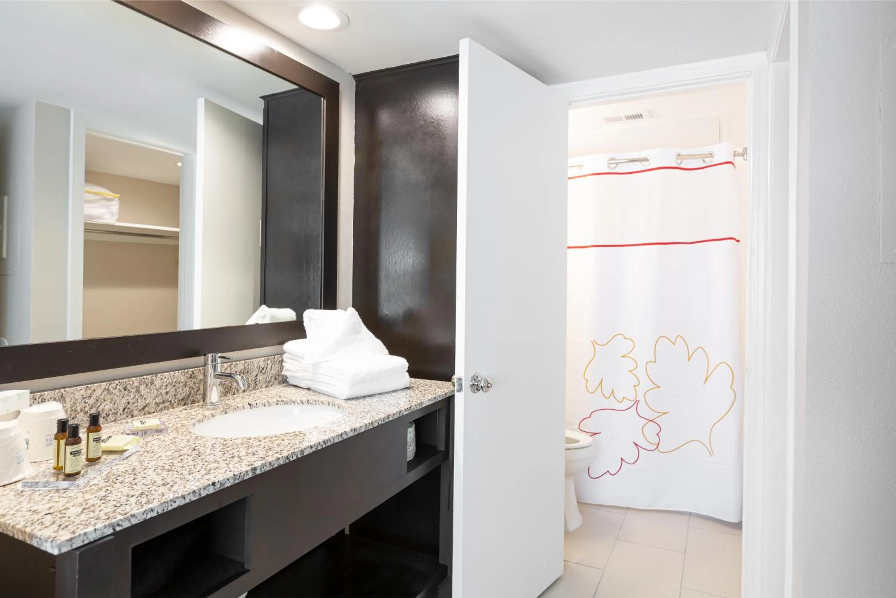Bathroom in Craigshire Suites - Arlington