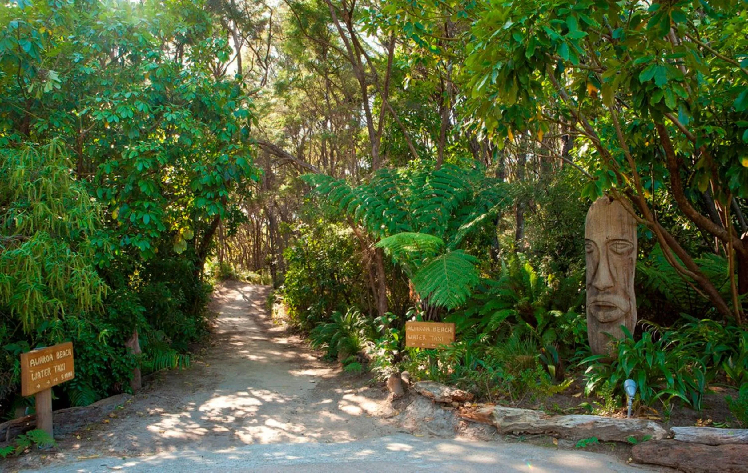 Area and facilities in Awaroa Lodge