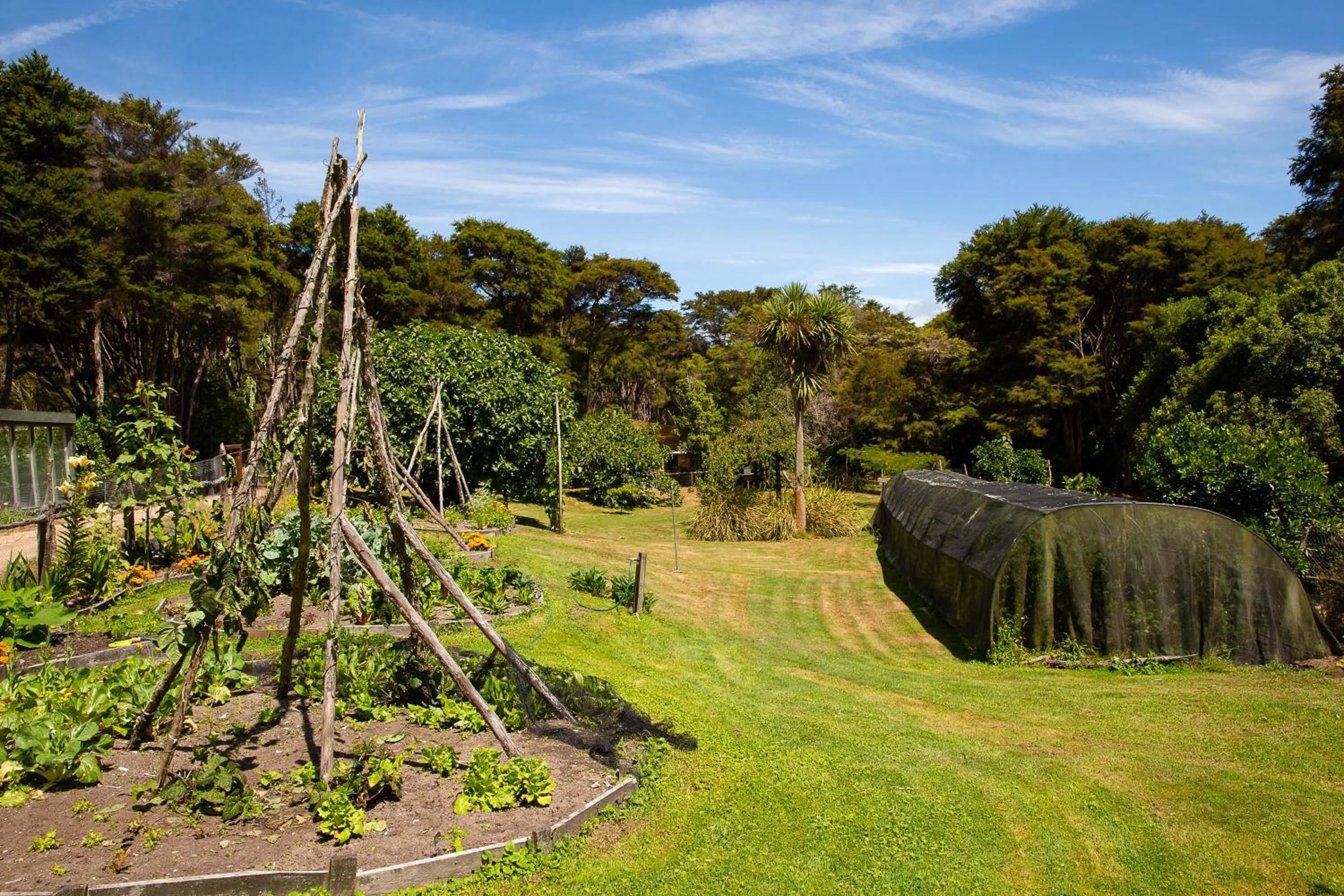 Garden in Awaroa Lodge