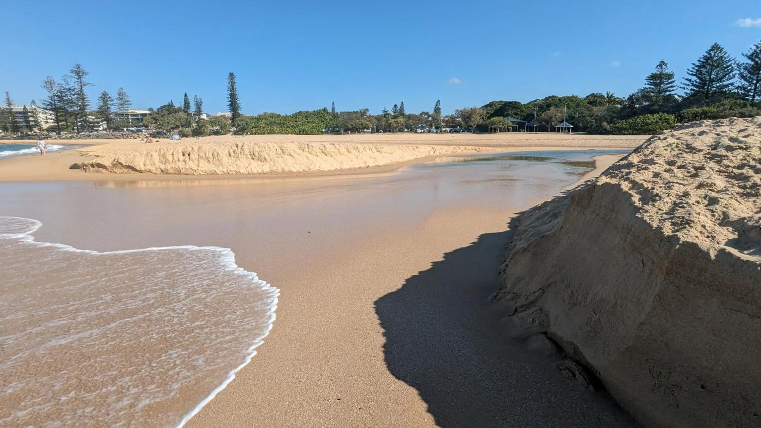 Natural landscape in Moffat Beach Motel Caloundra