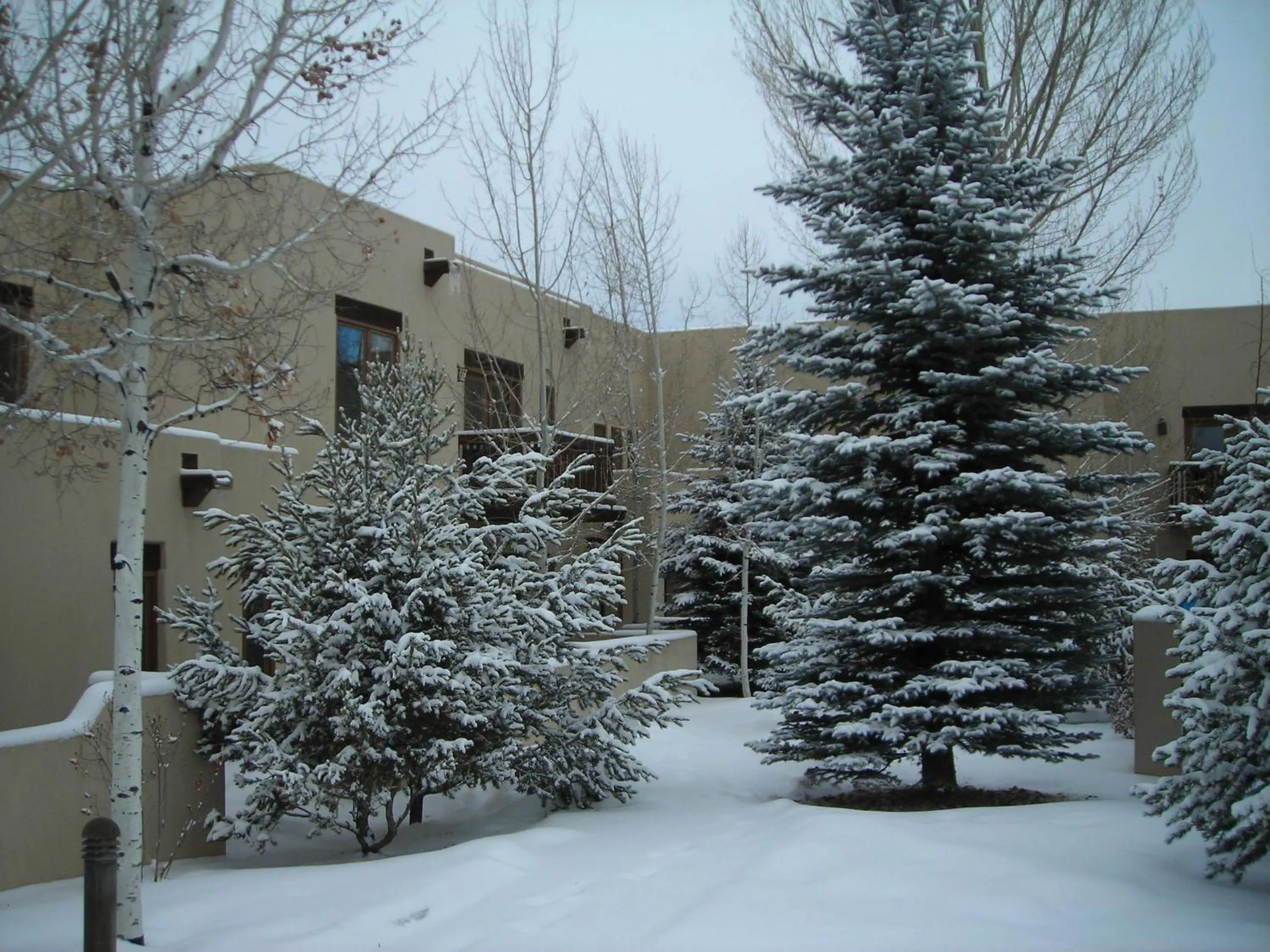 Other in WorldMark Taos