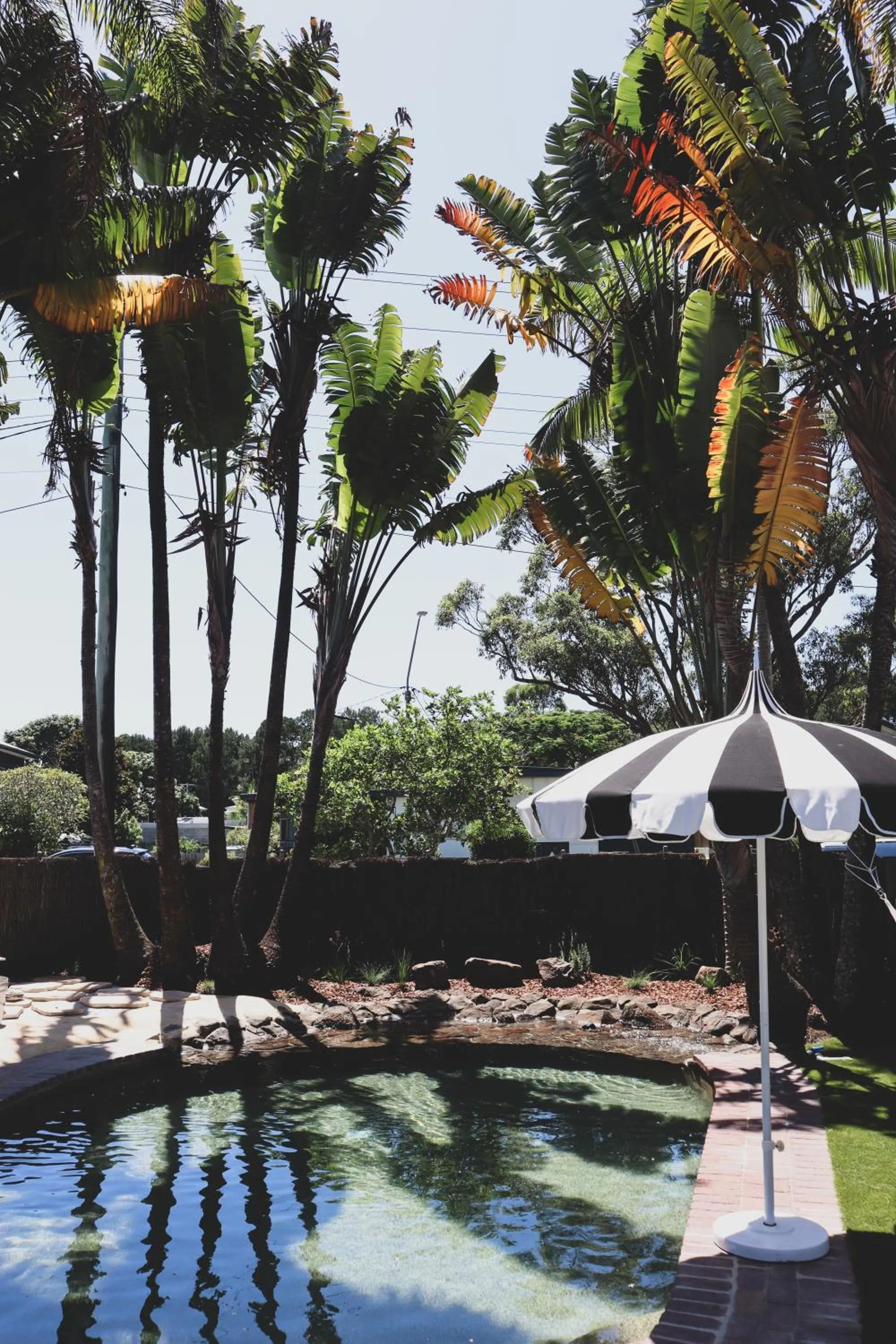 Swimming pool in Chalet Motel Brunswick Heads