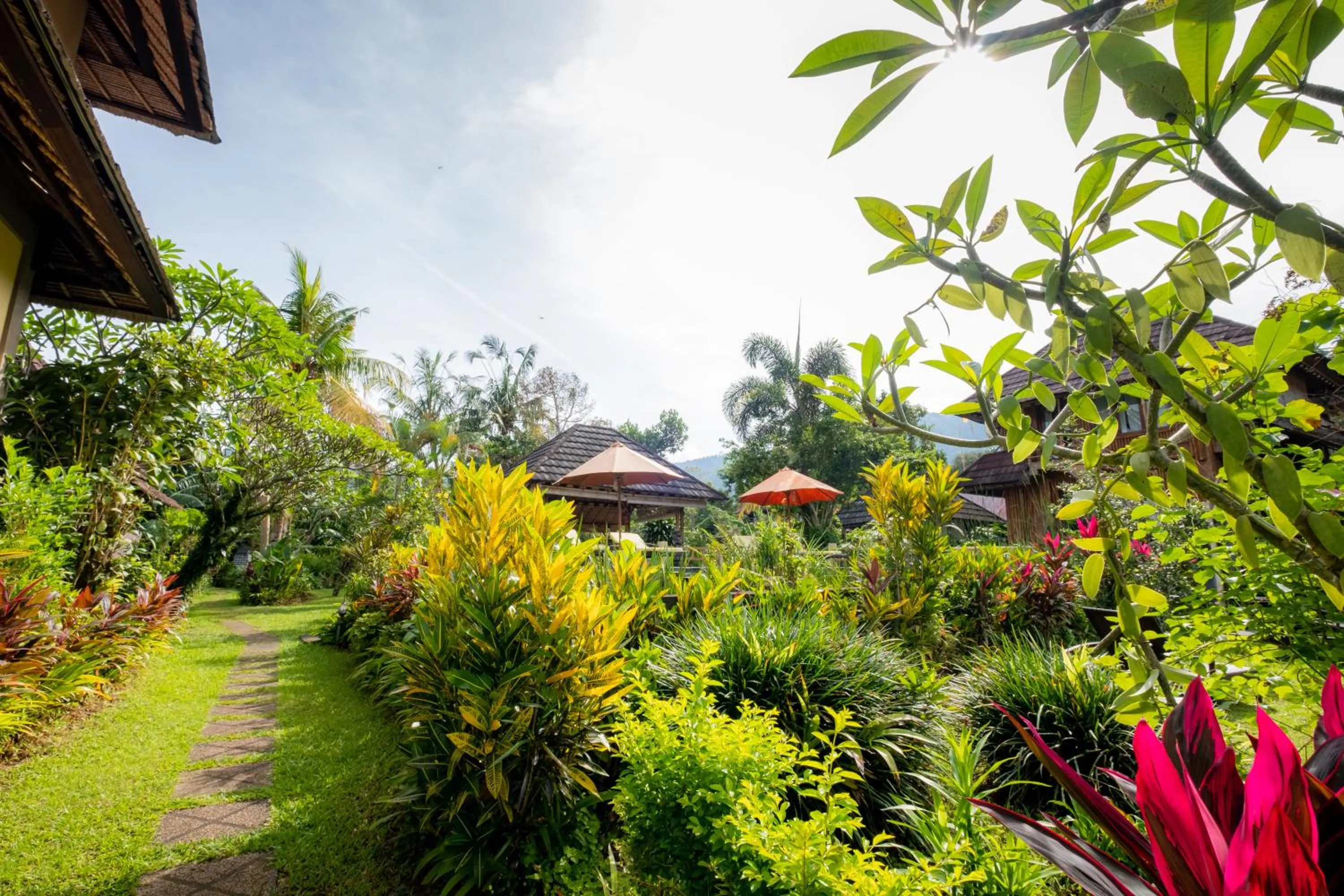 Garden in Villa Manuk