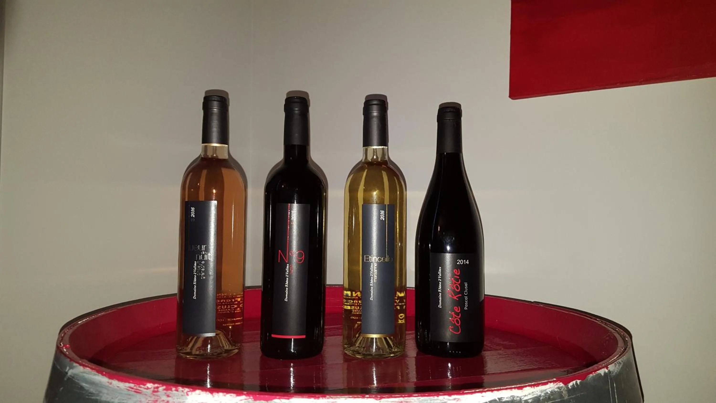 Hôtel Le Domaine des Vignes Ampuis Lyon Sud Vienne