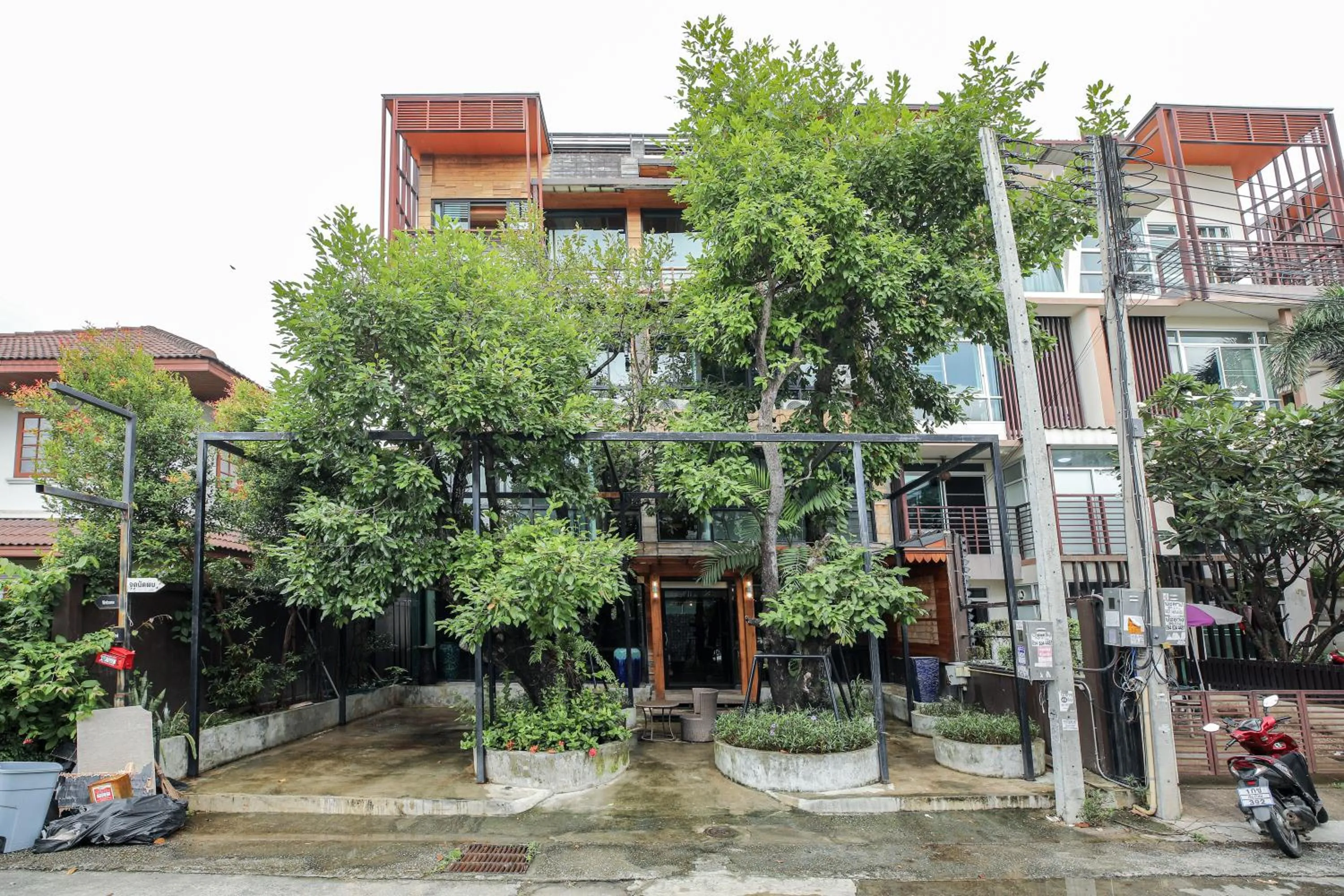 Garden view in Arbor's house