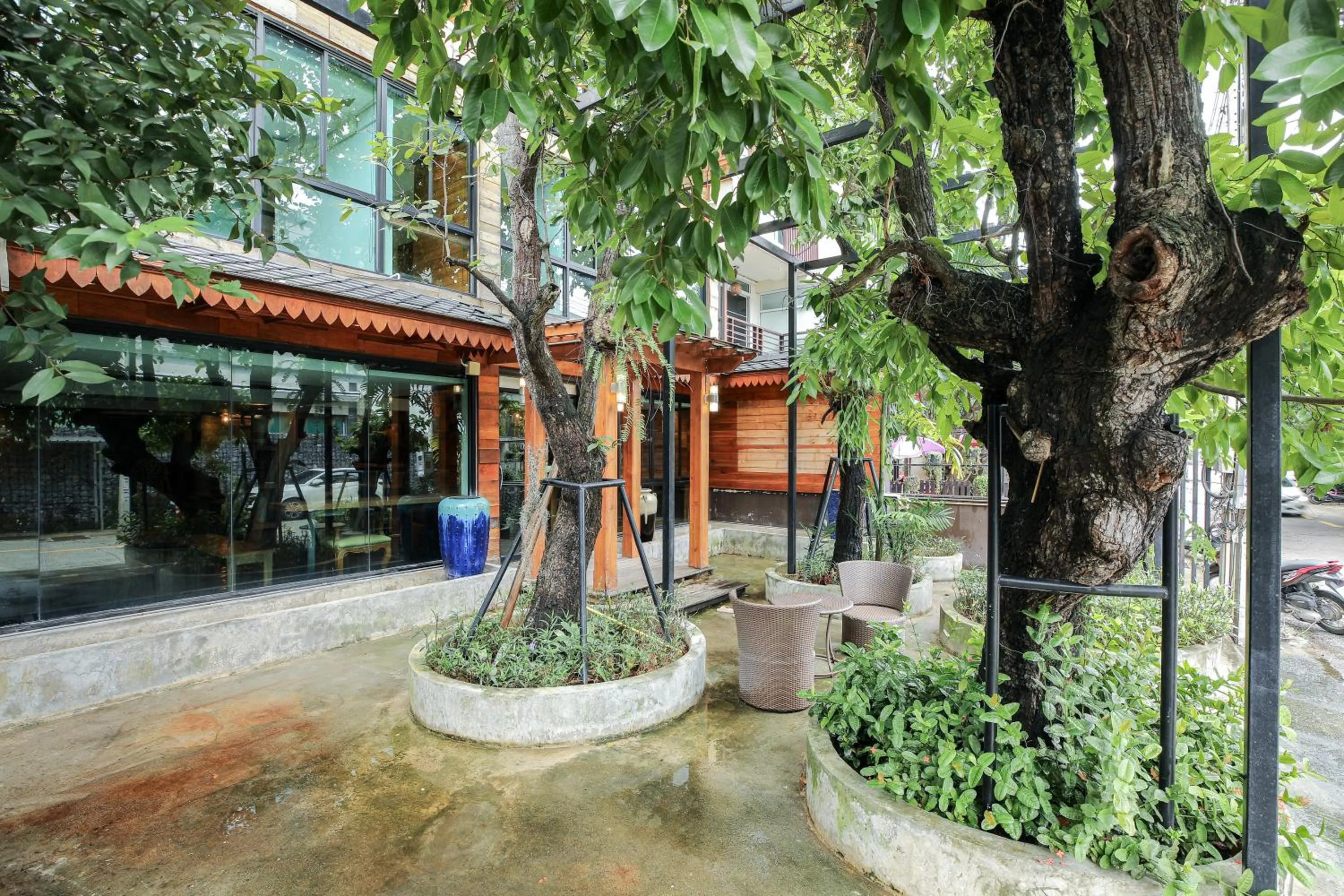 Garden in Arbor's house