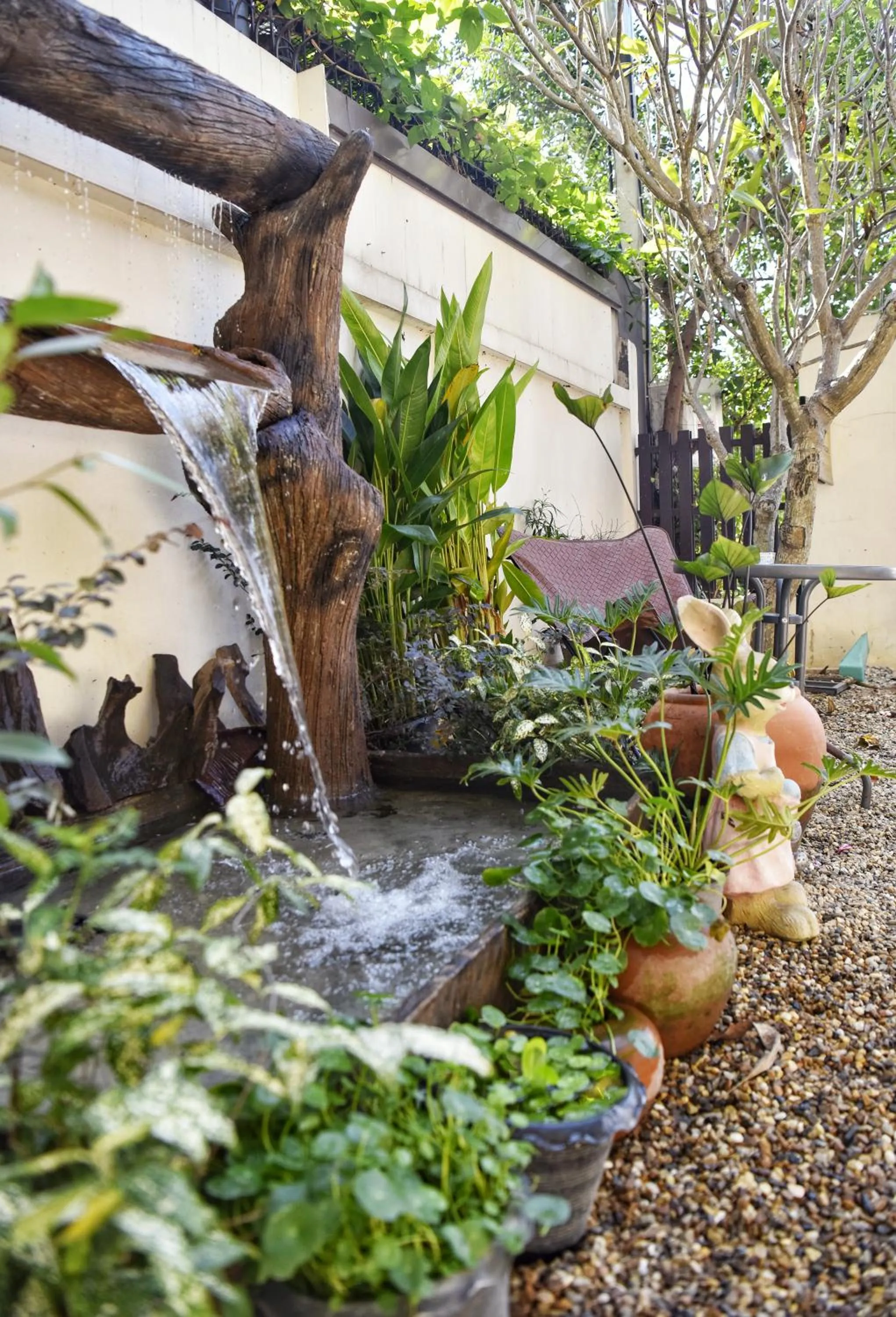 Garden in Arbor's house