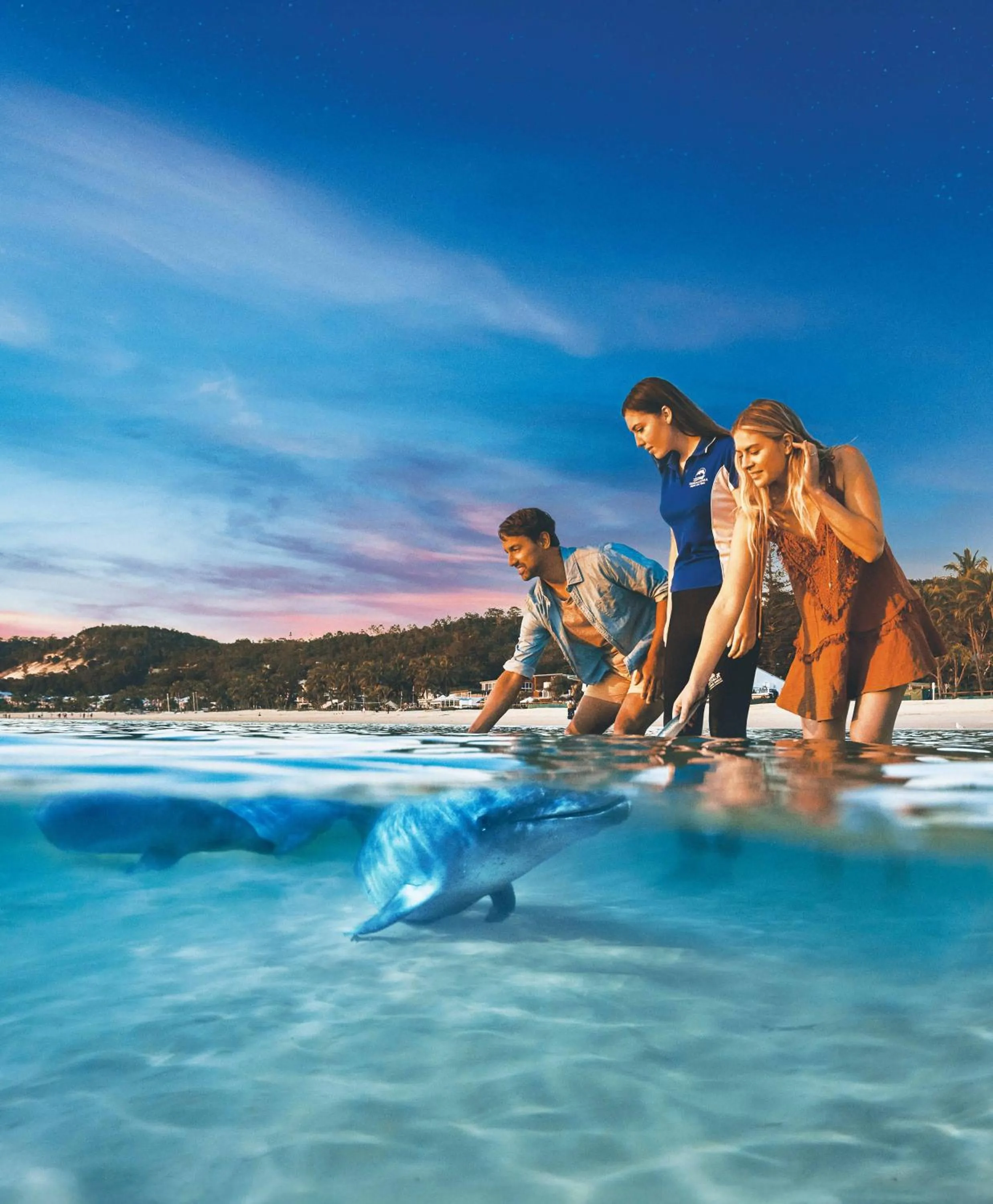 Animals in Tangalooma Island Resort