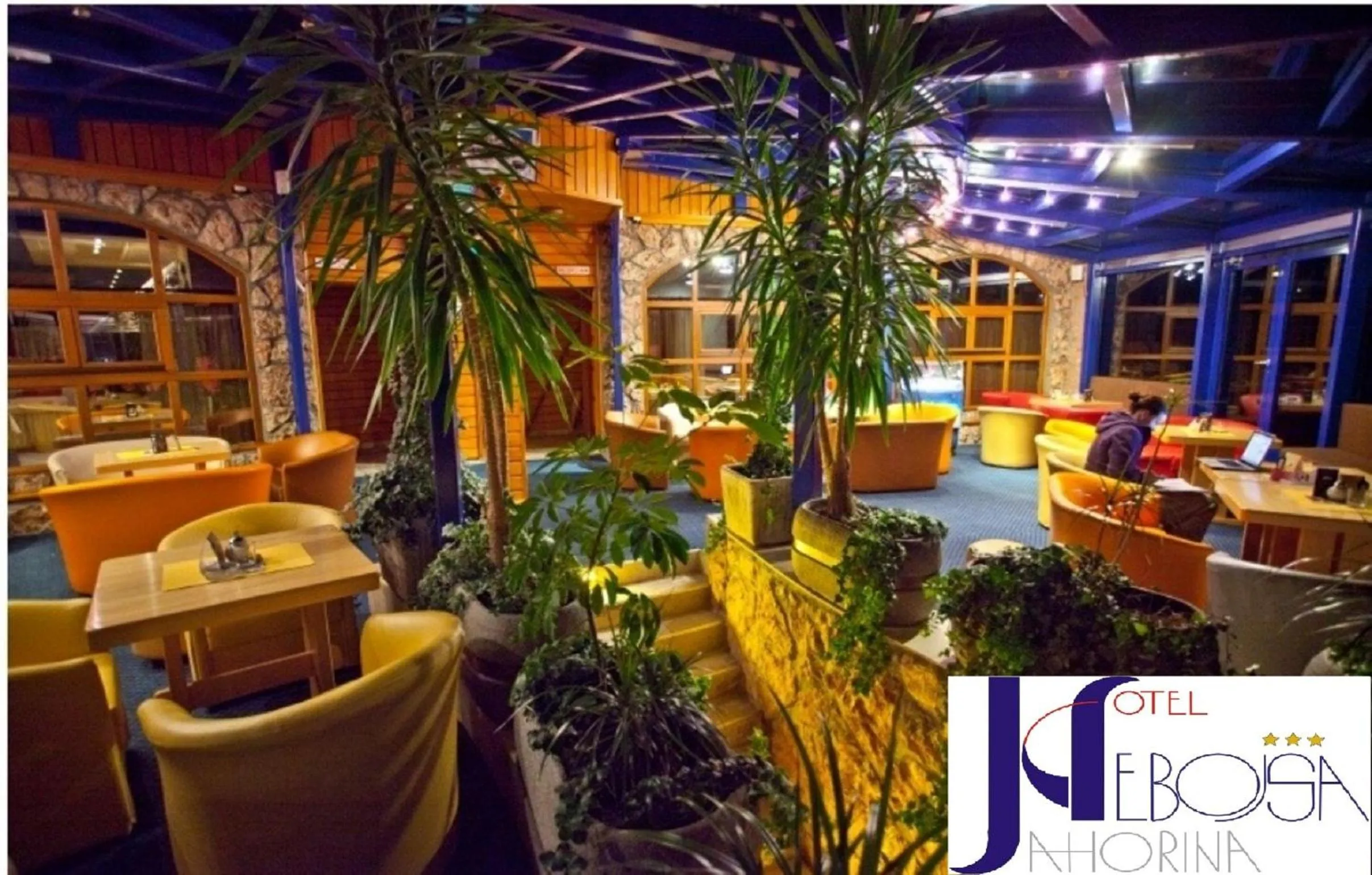 Mountain view in Hotel Nebojša Jahorina