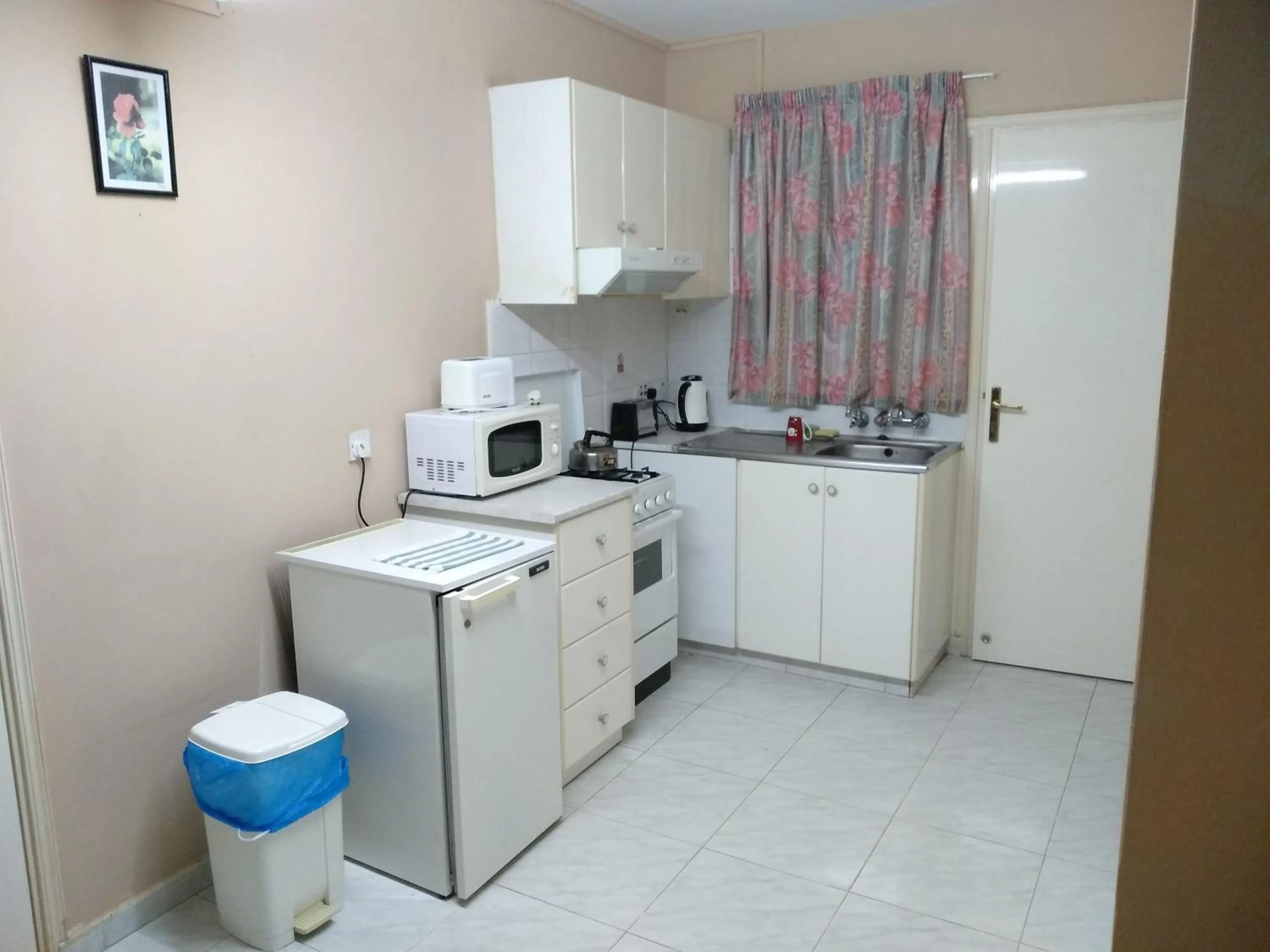 Kitchen or kitchenette in Rantzo Holiday Apartments