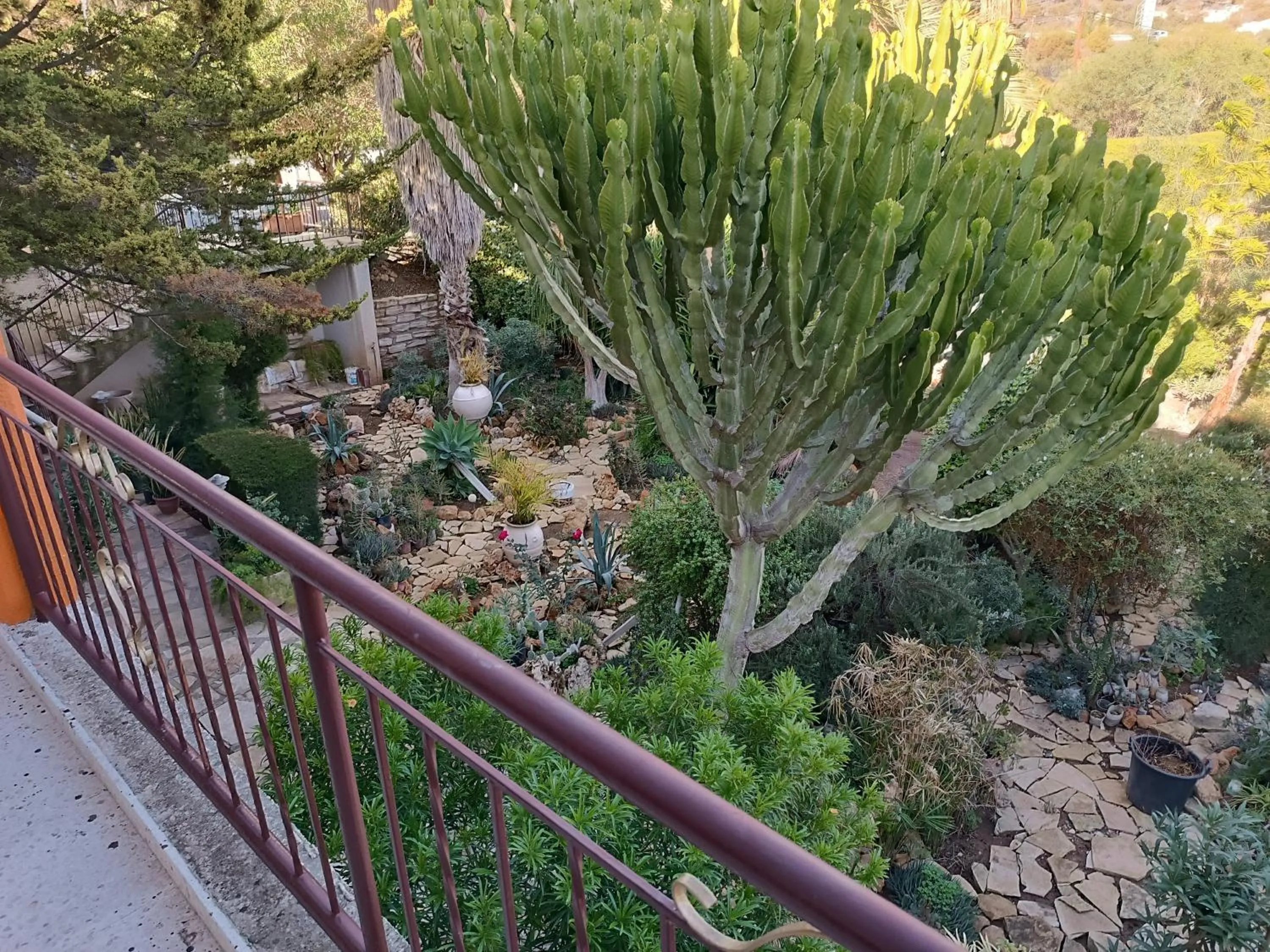 Garden view in Rantzo Holiday Apartments