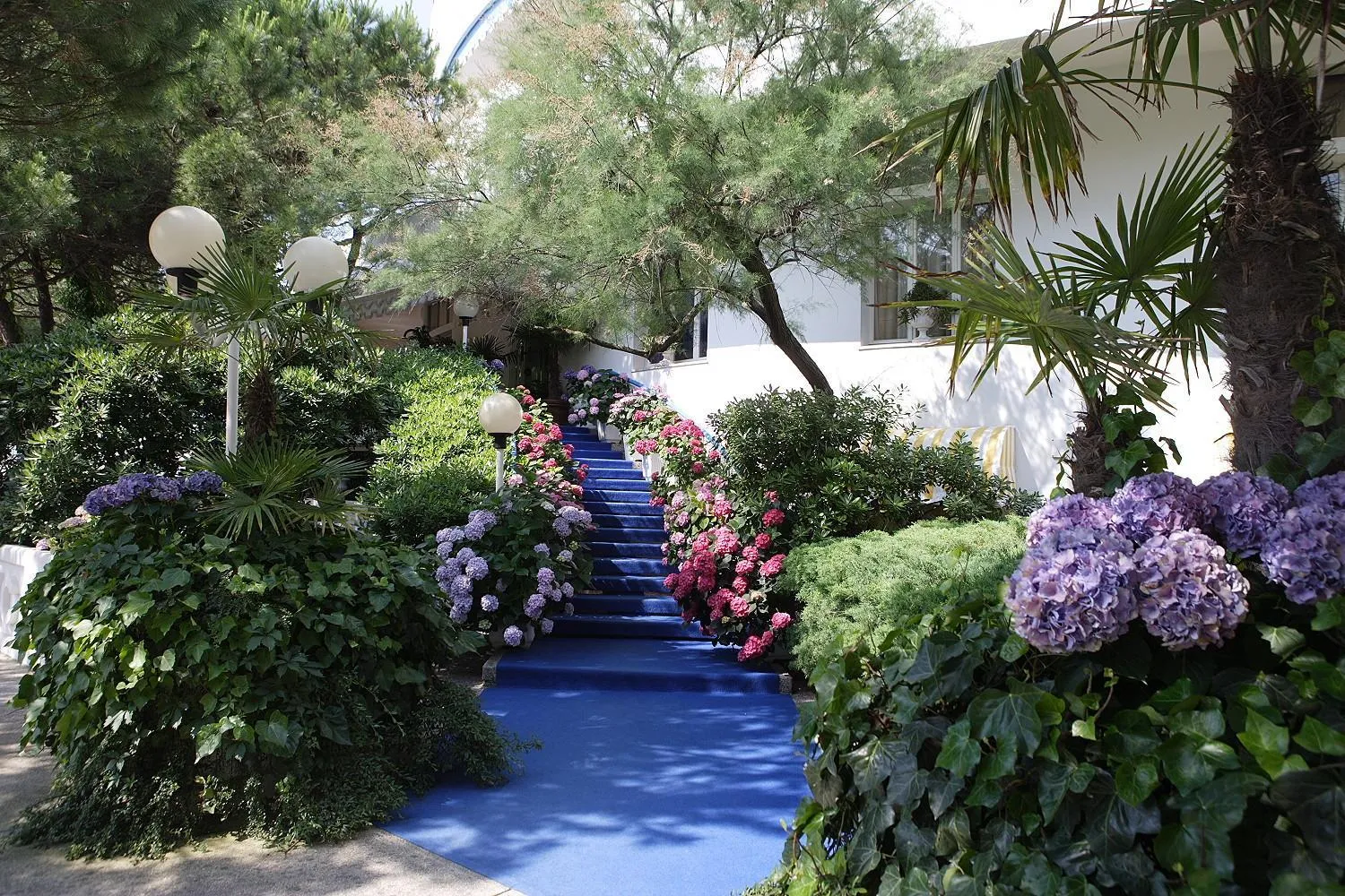 Garden in Hotel Corallo