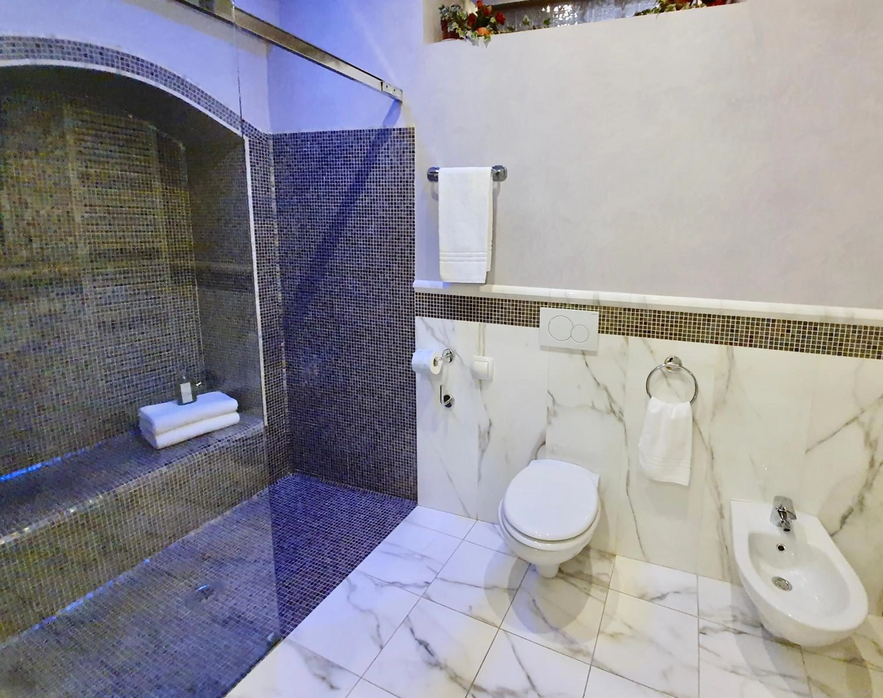 Shower in Hotel Aurora