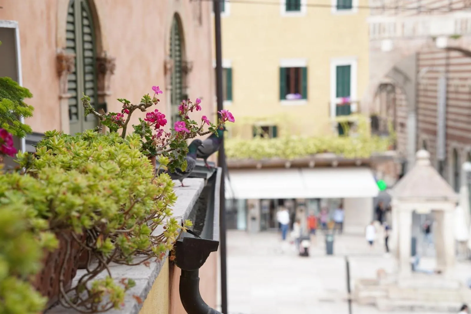 Balcony/Terrace in Hotel Aurora
