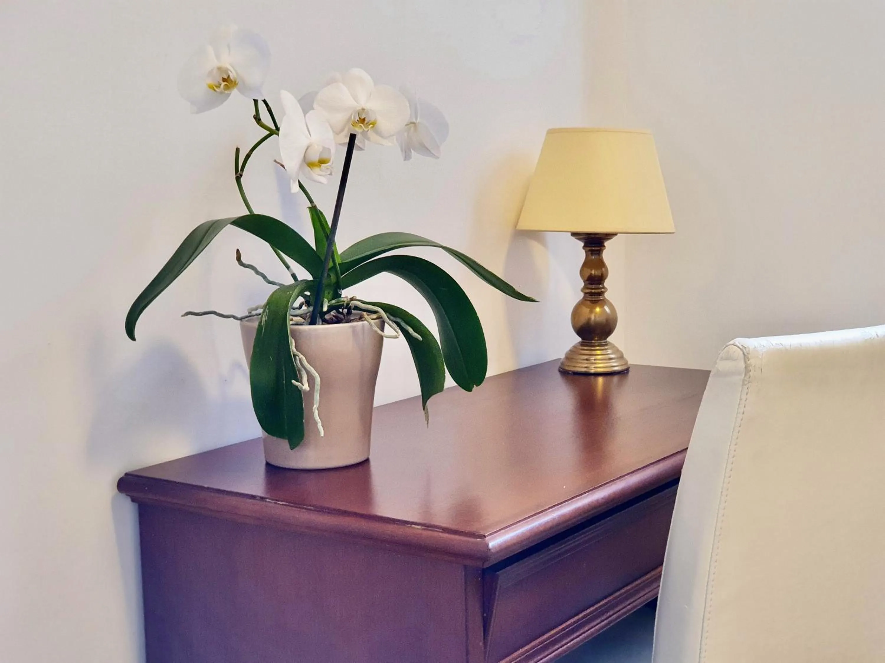 Bedroom in Hotel Aurora