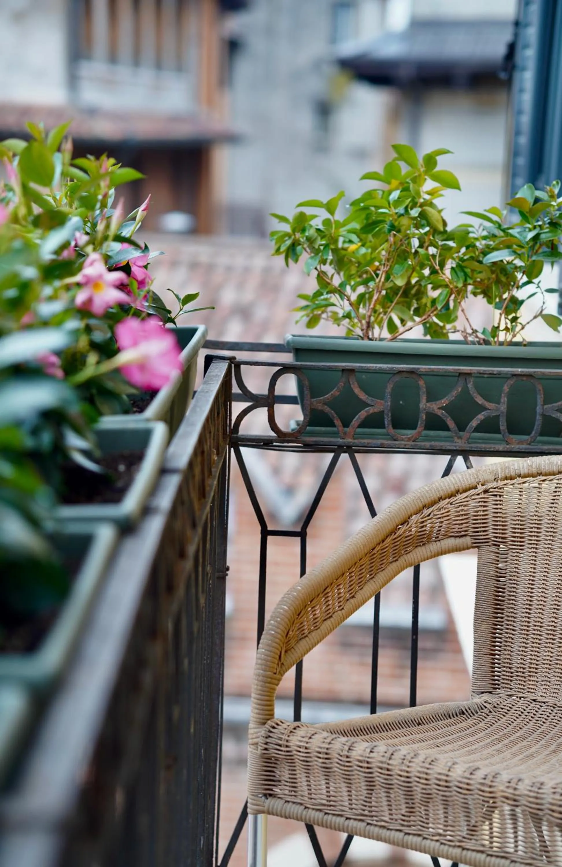 Balcony/Terrace in Hotel Aurora