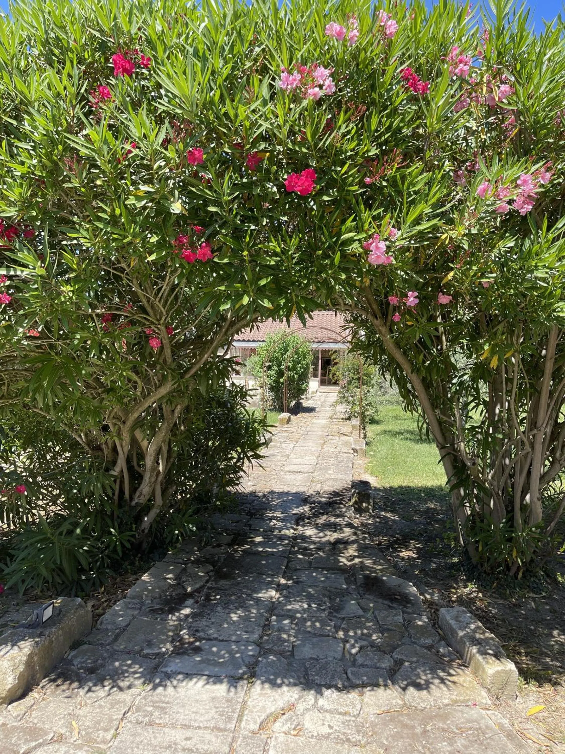 Garden in Le Mas Des Chutes
