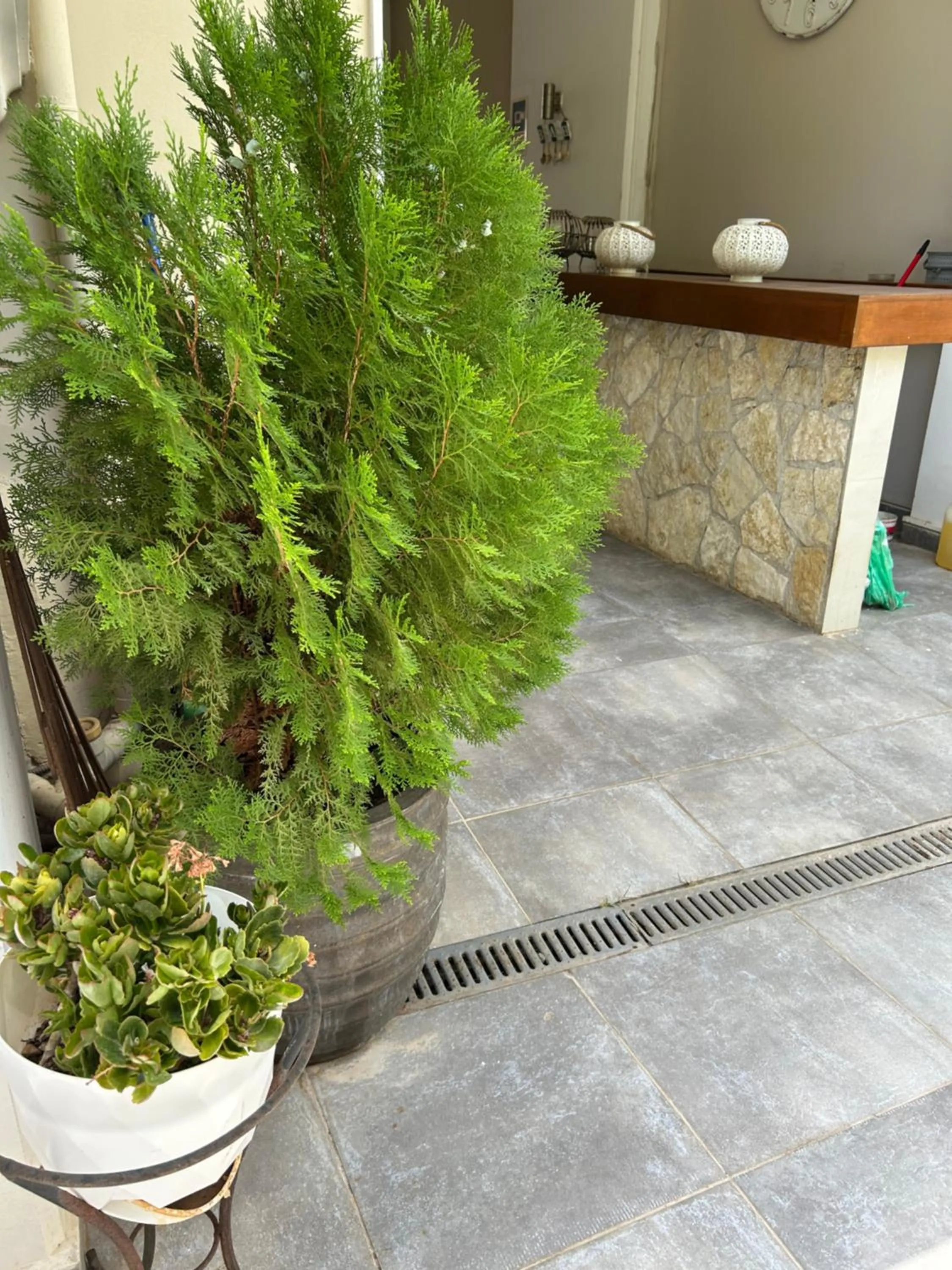 Garden in Palataki Residence