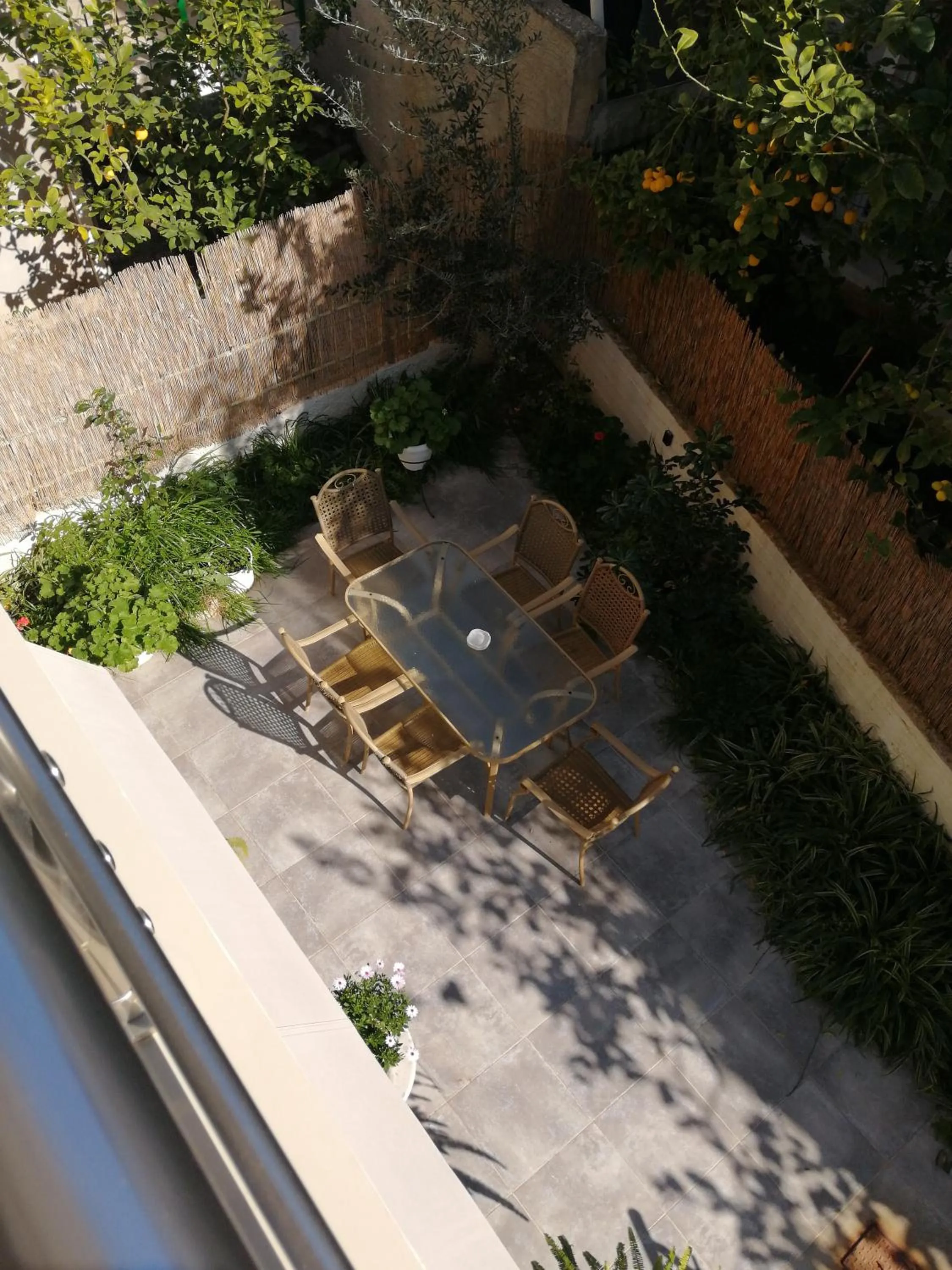 Garden view in Palataki Residence