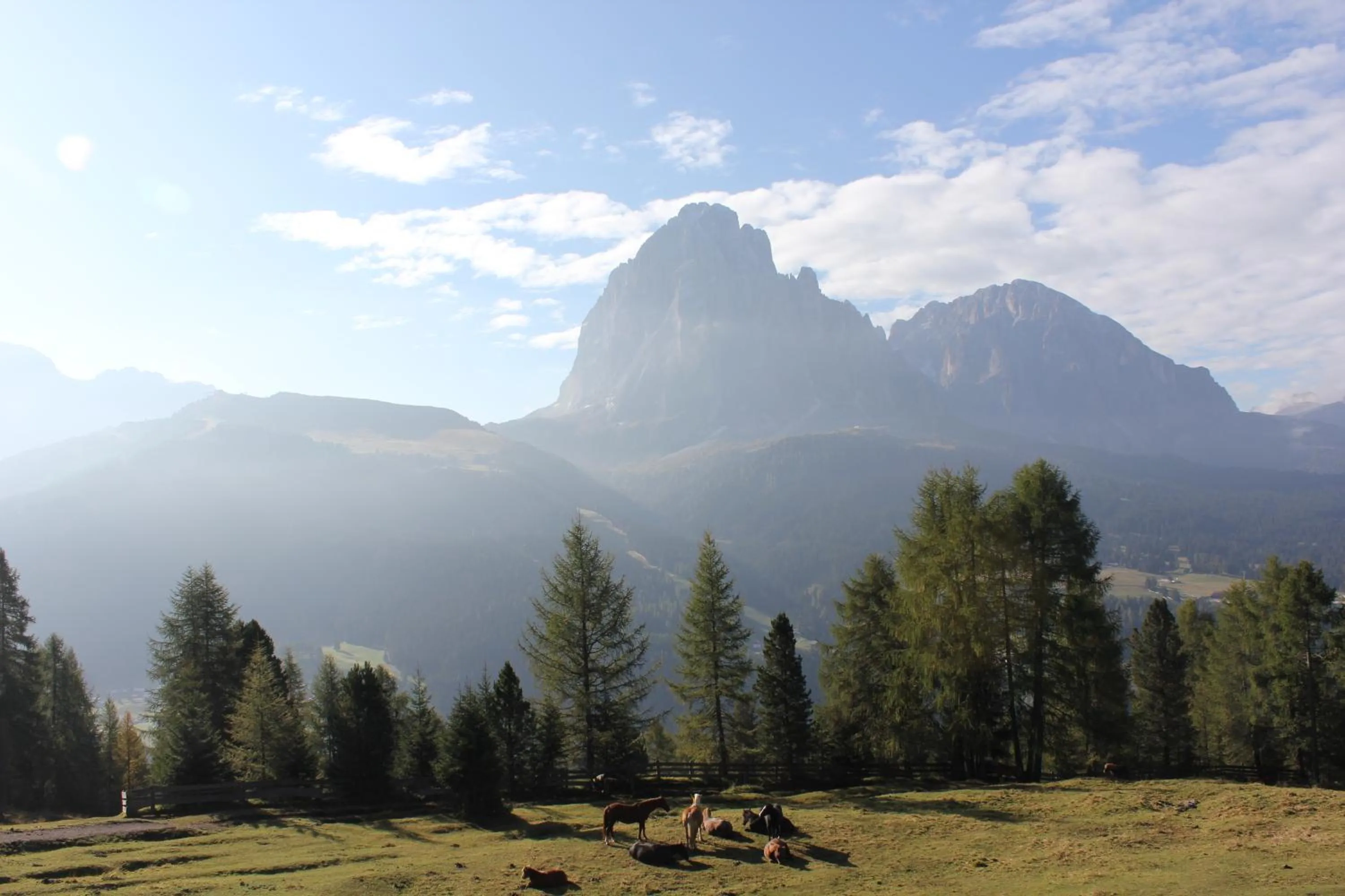 Day in Villa Martha Vintage Hotel-B&B