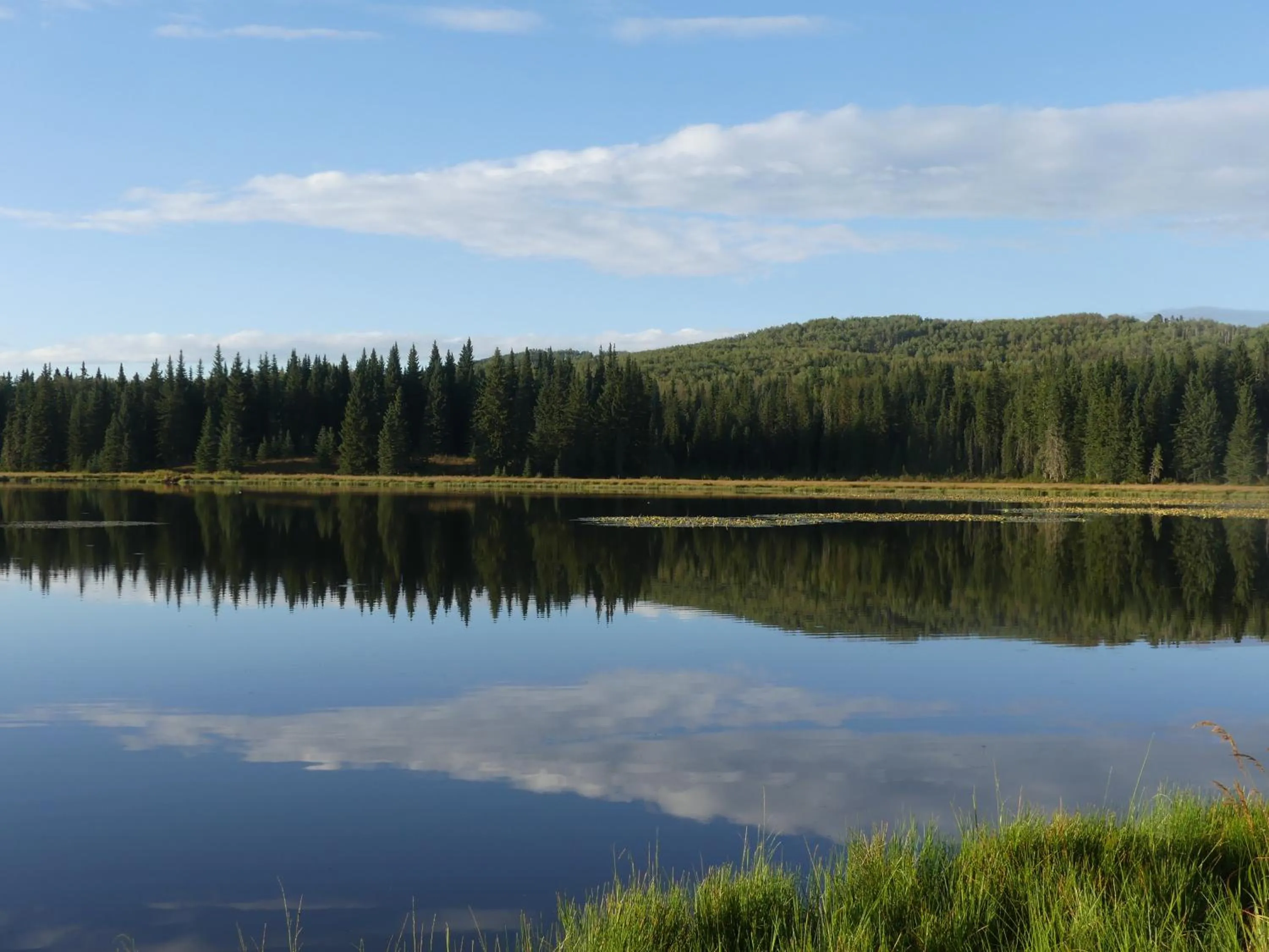 Schott's Lake Conference & Resort