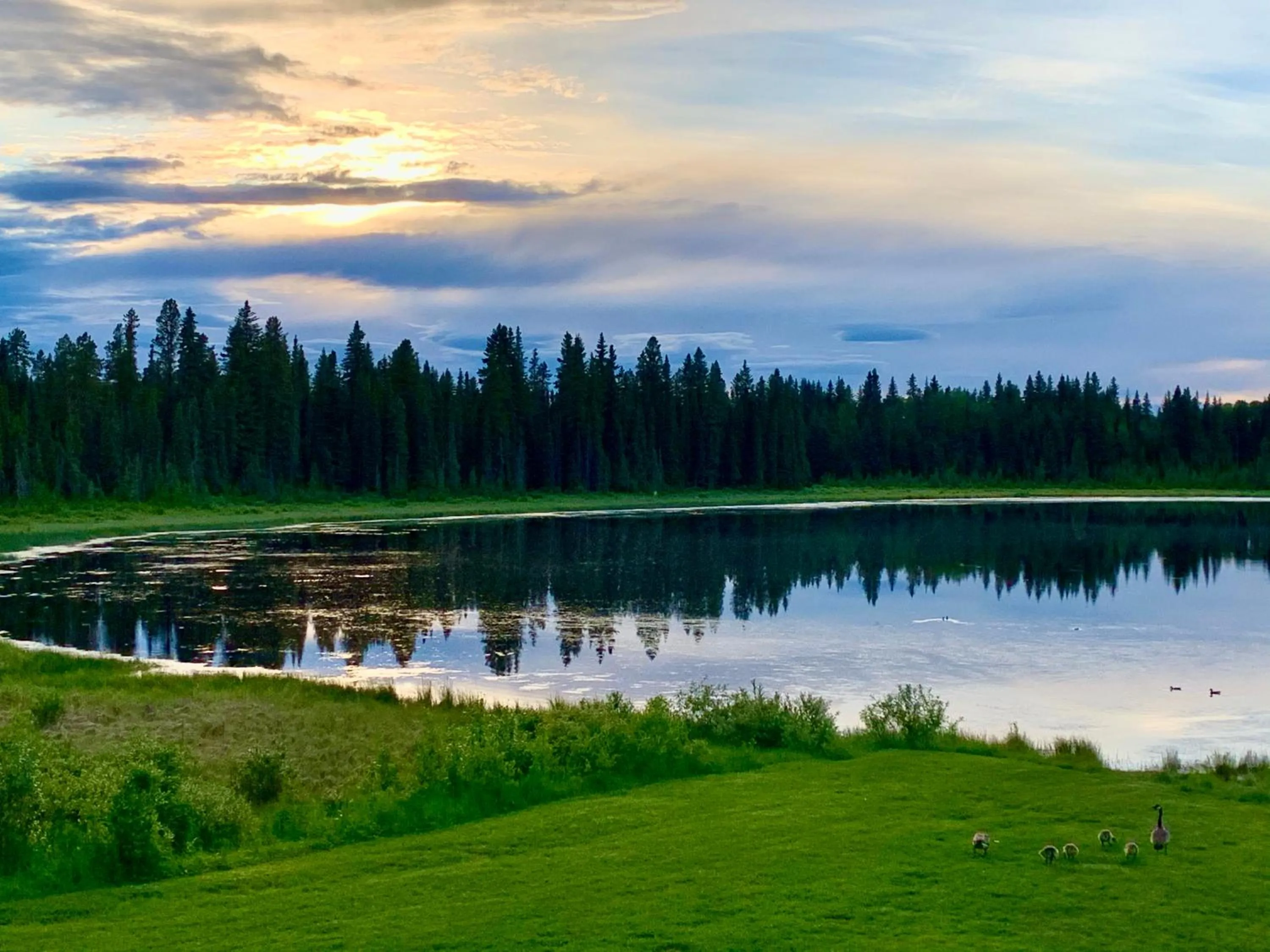 Natural landscape in Schott's Lake Conference & Resort
