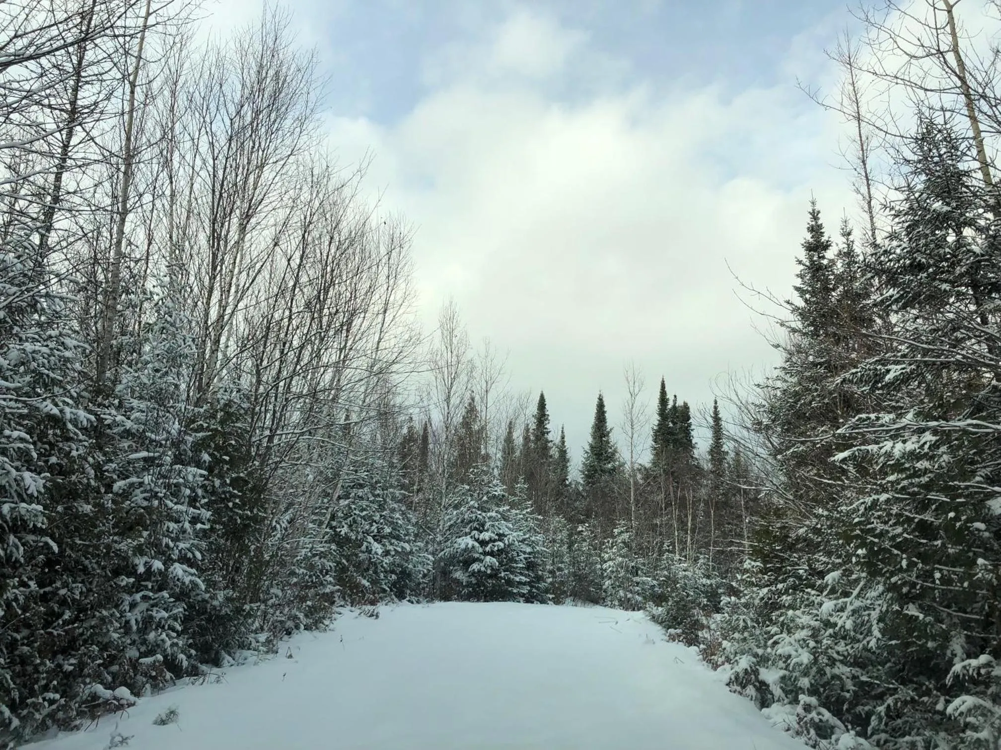 Property building in Shores of Deer Lake