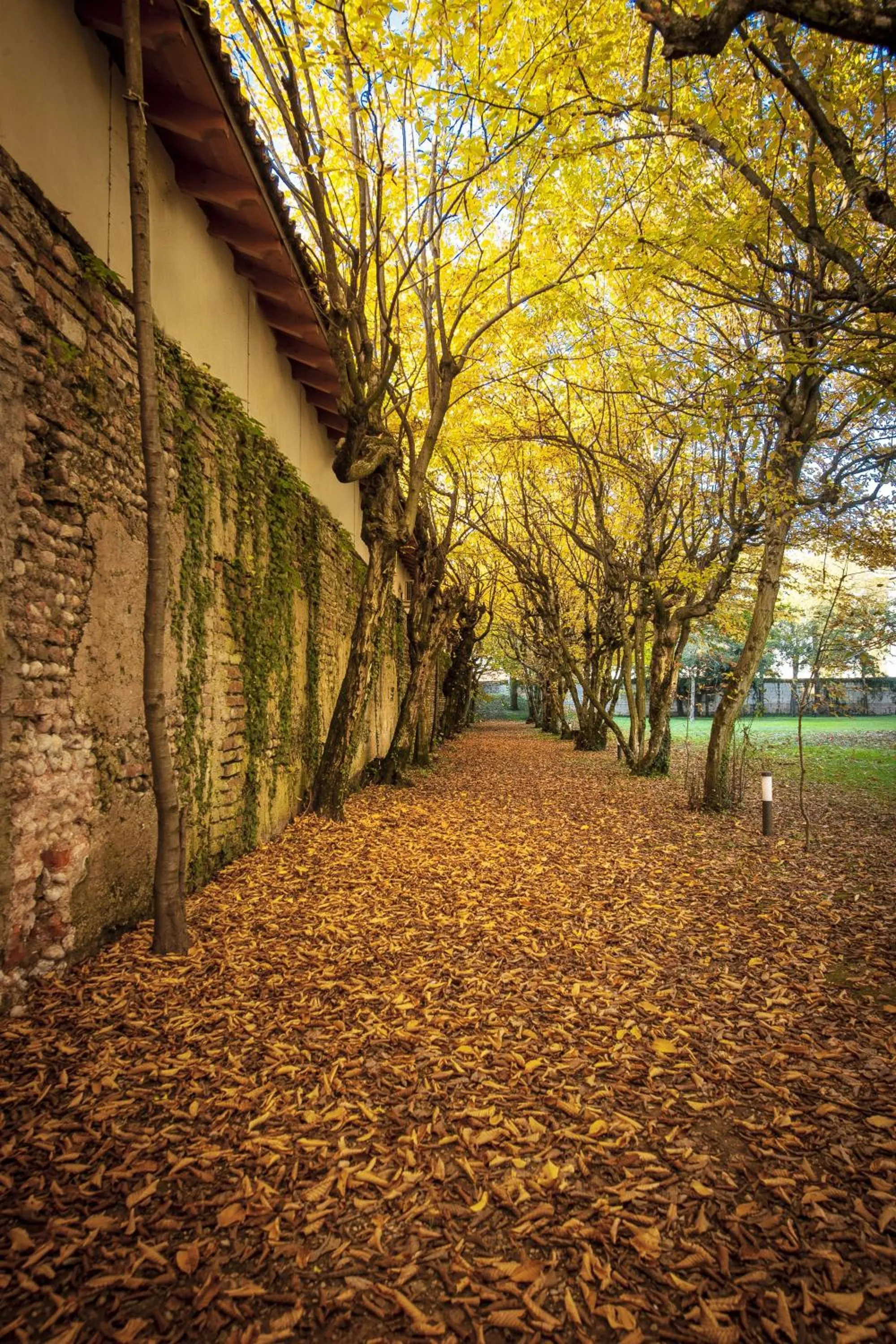 Natural landscape in Hotel Villa Cornér Della Regina
