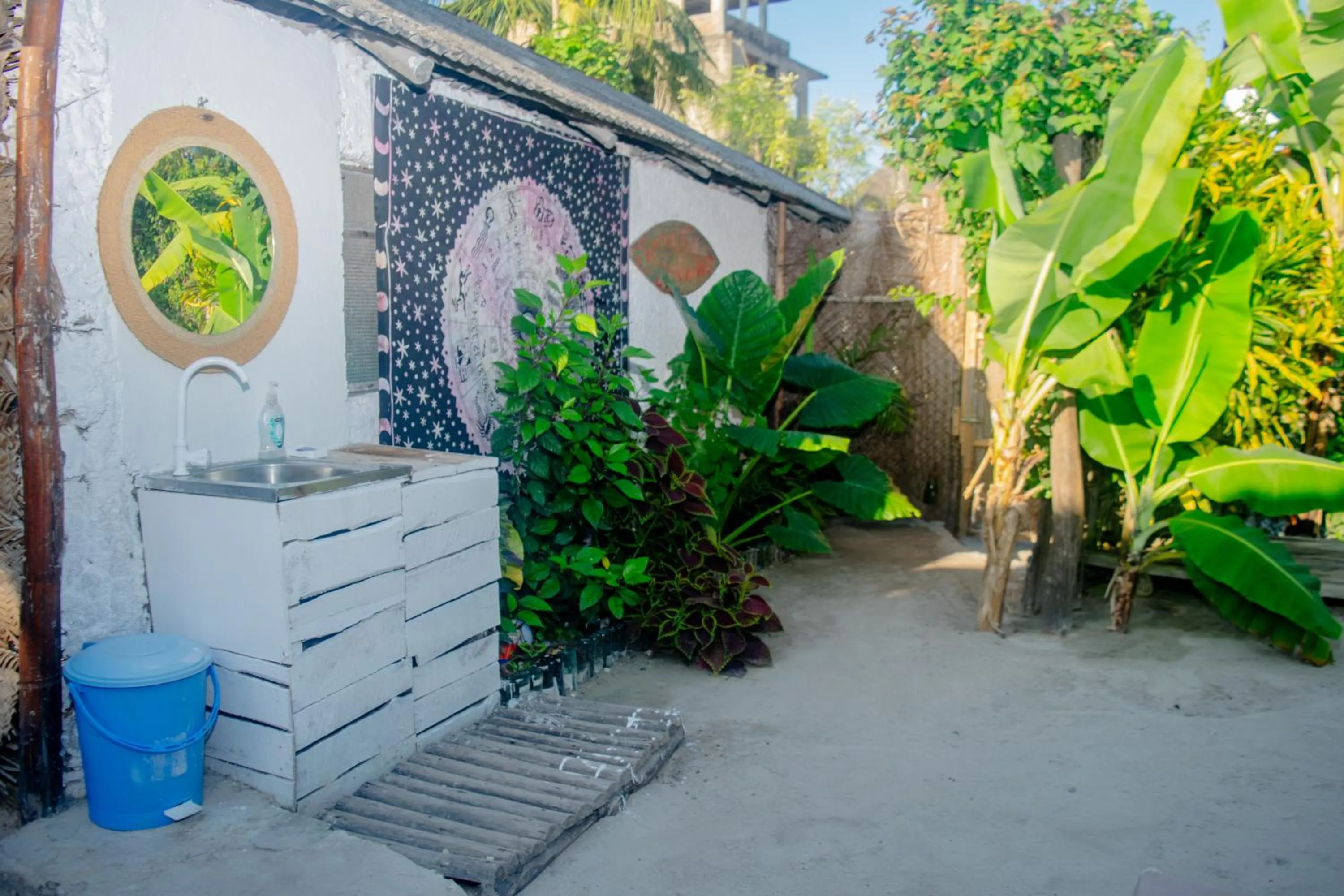 Spring in Mudi House