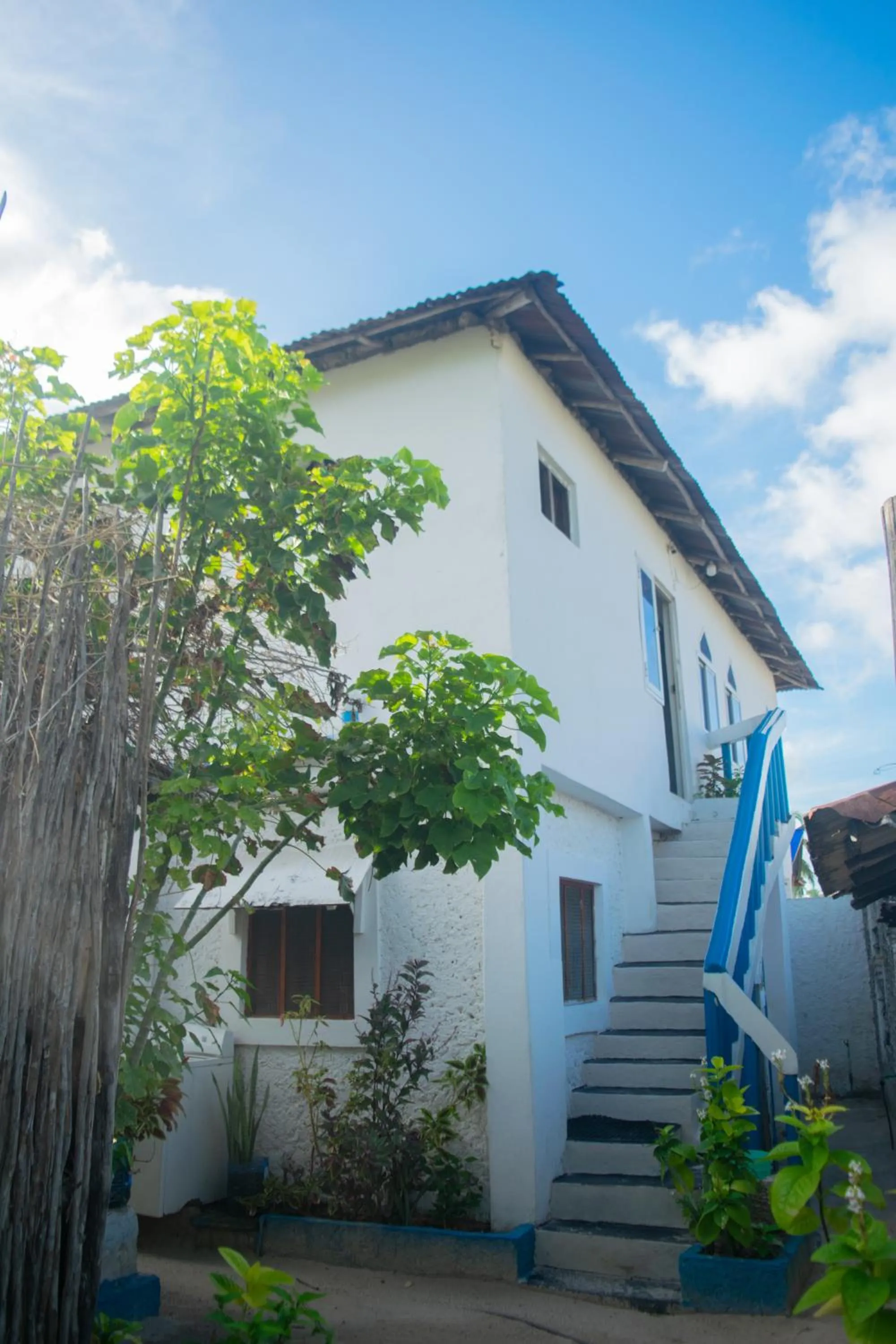 Property building in Mudi House