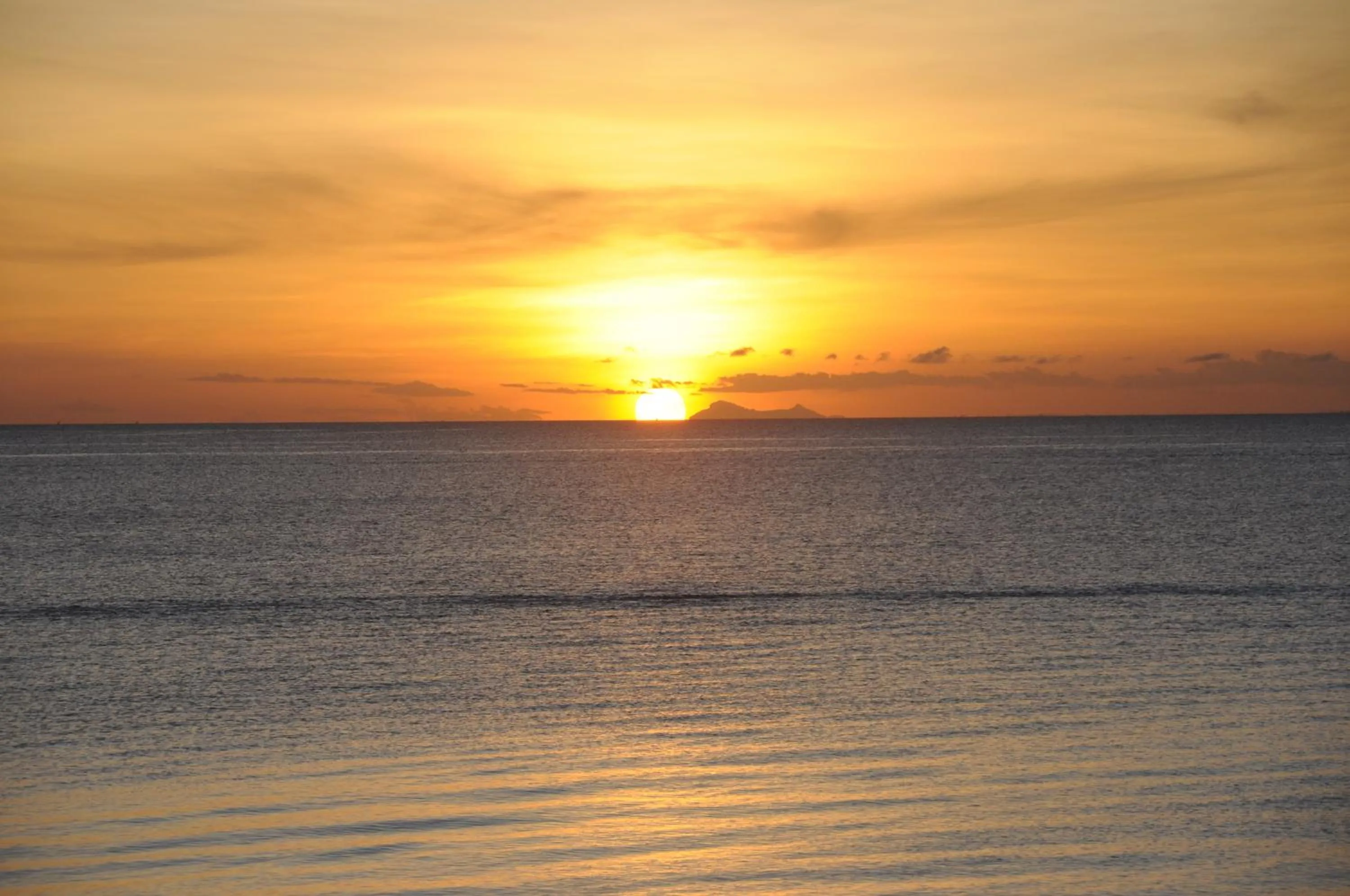 Natural landscape in My Blue Hotel Zanzibar