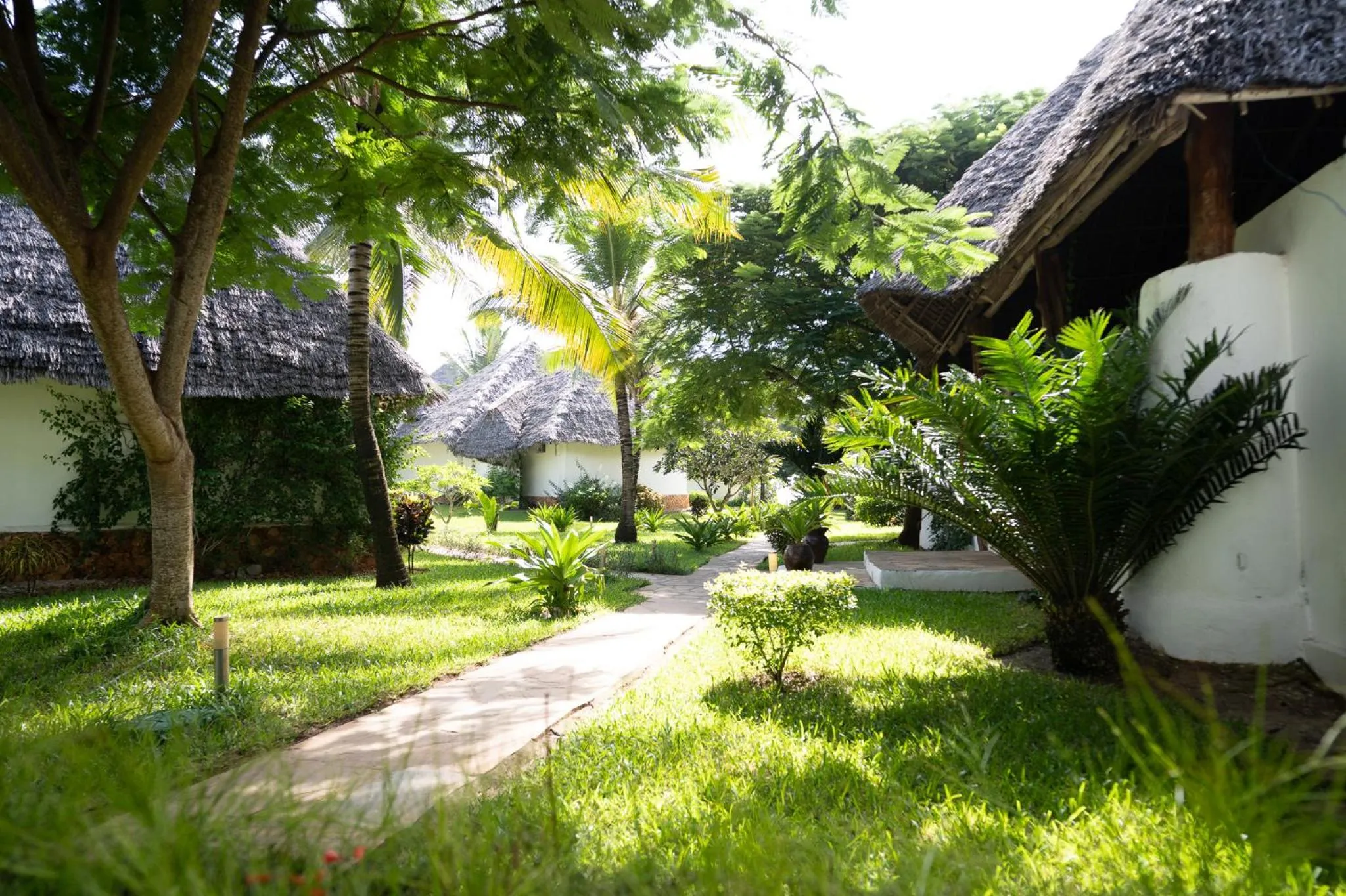 Garden in My Blue Hotel Zanzibar
