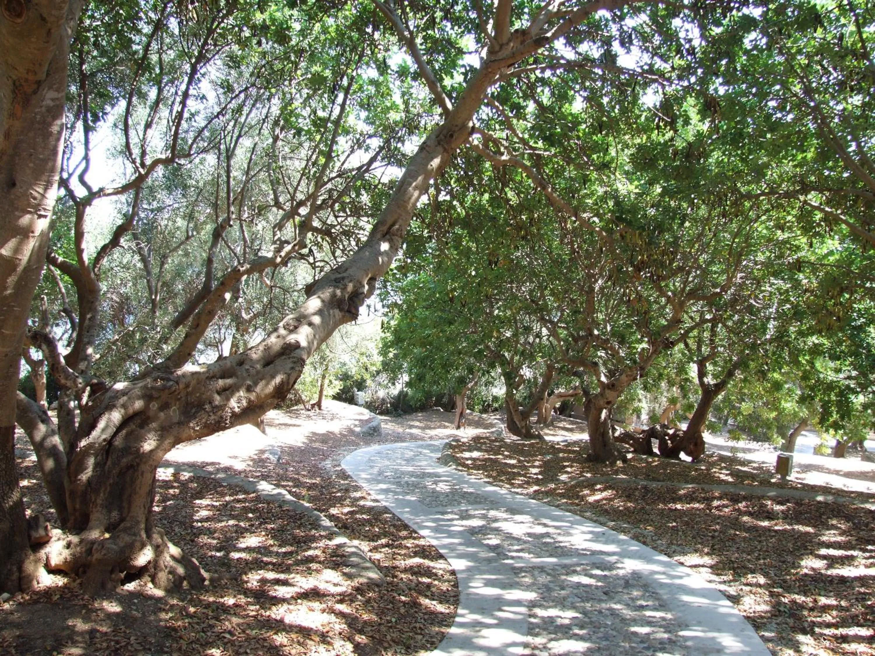 Garden in Villaggio Hotel Ripa