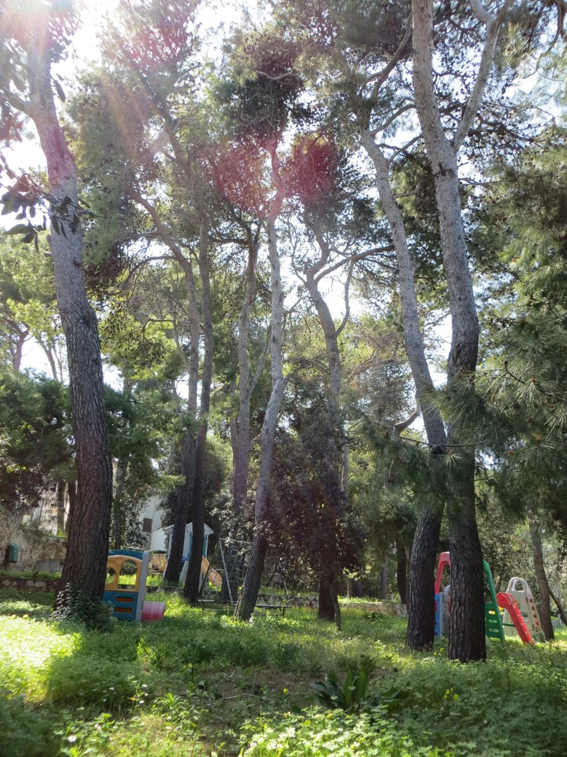 Facade/entrance in Villaggio Hotel Ripa