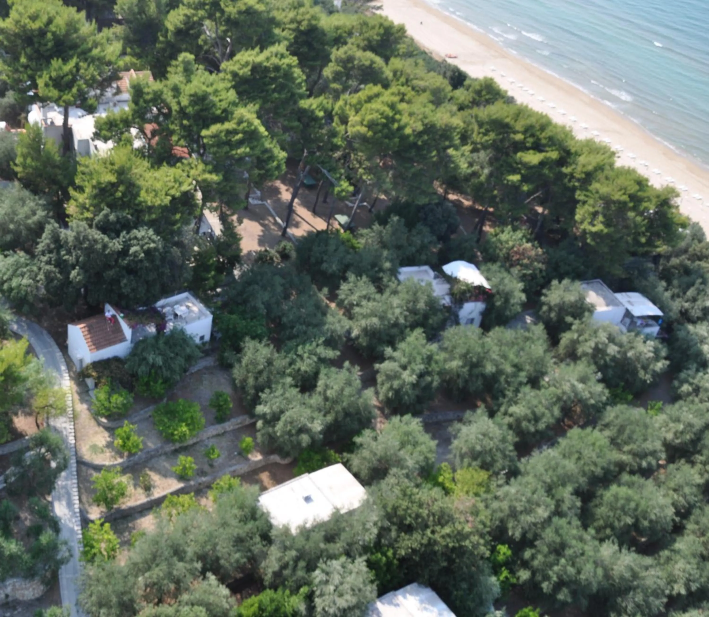 Area and facilities in Villaggio Hotel Ripa