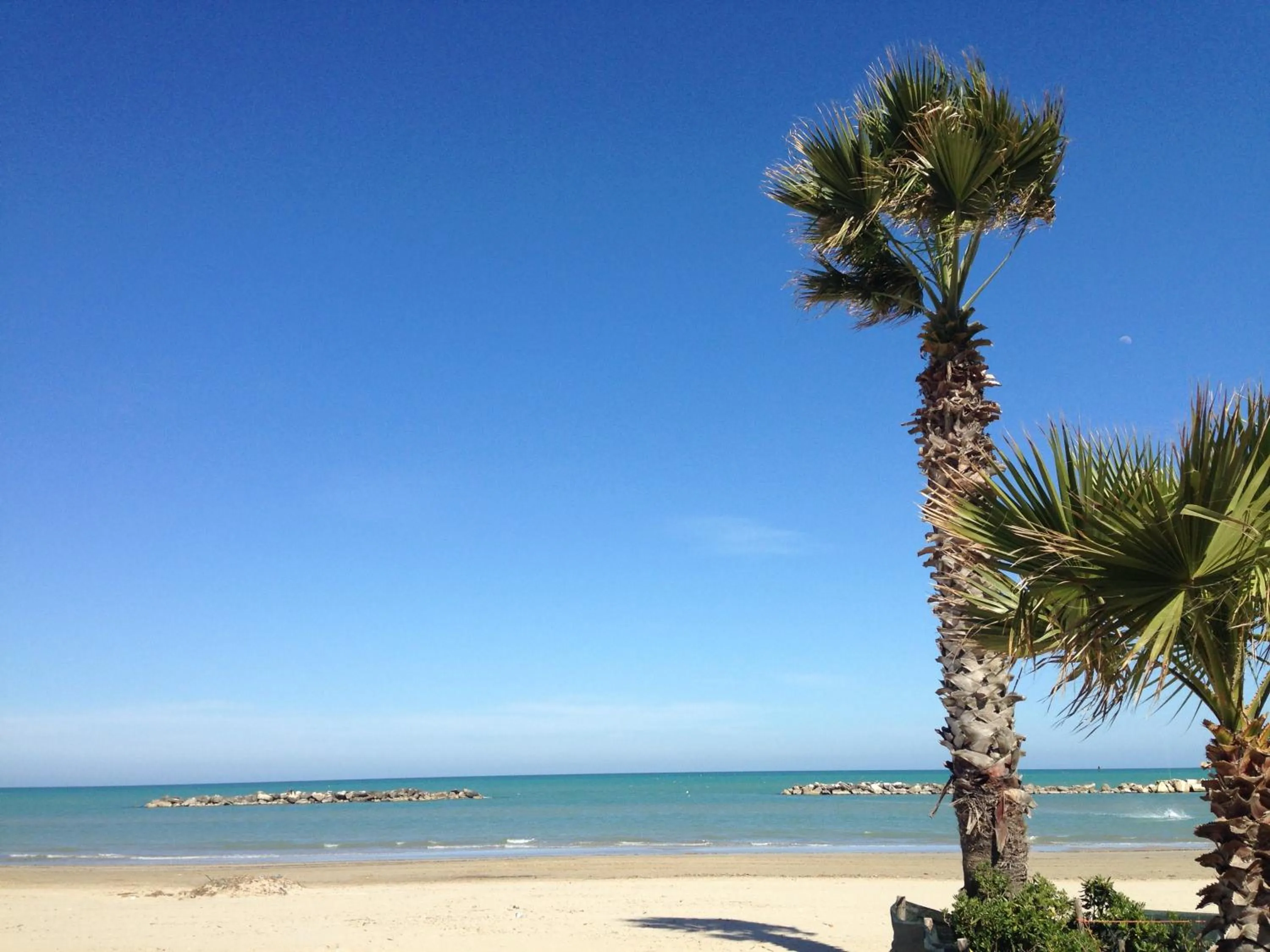Beach in Hotel Gabbiano