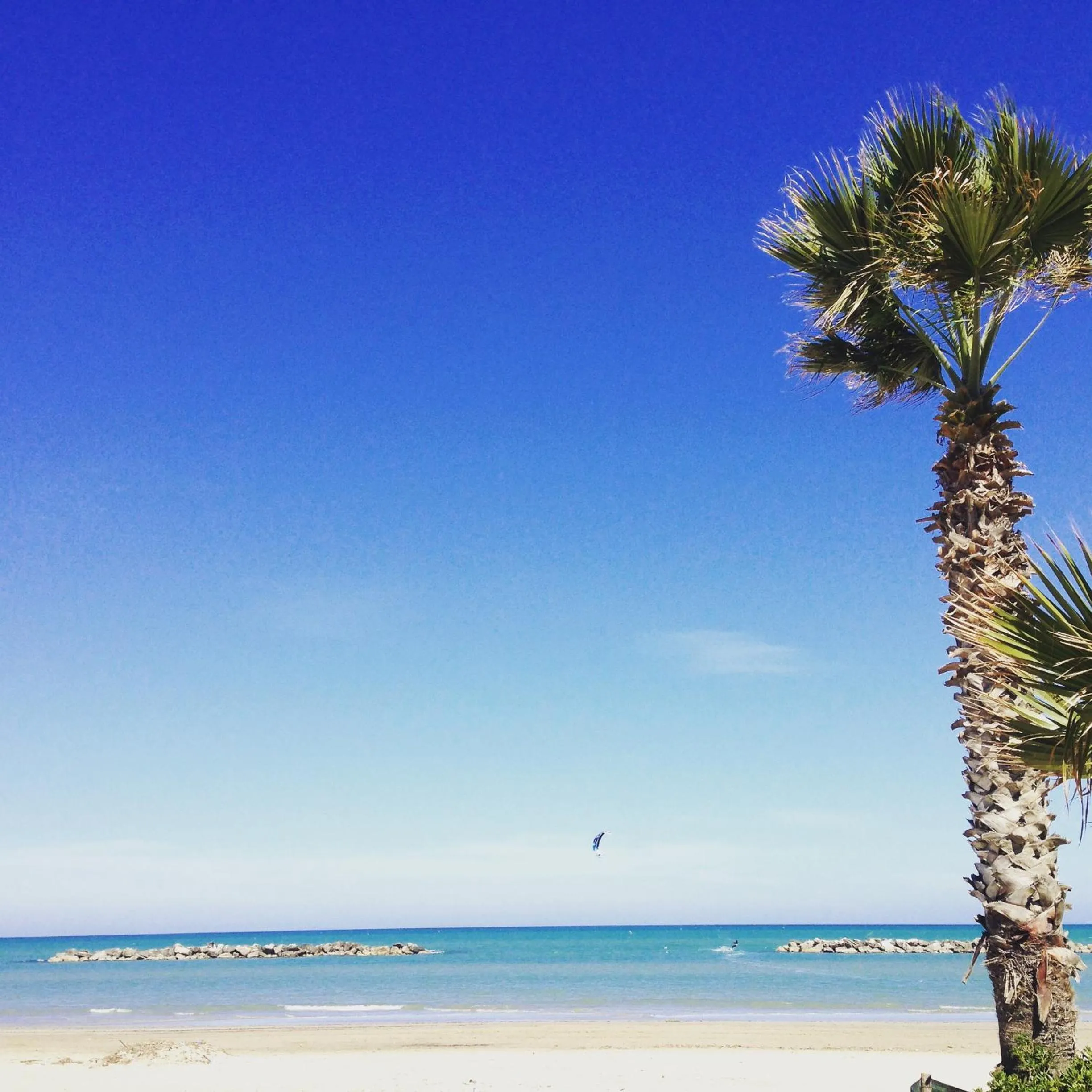 Neighbourhood in Hotel Gabbiano