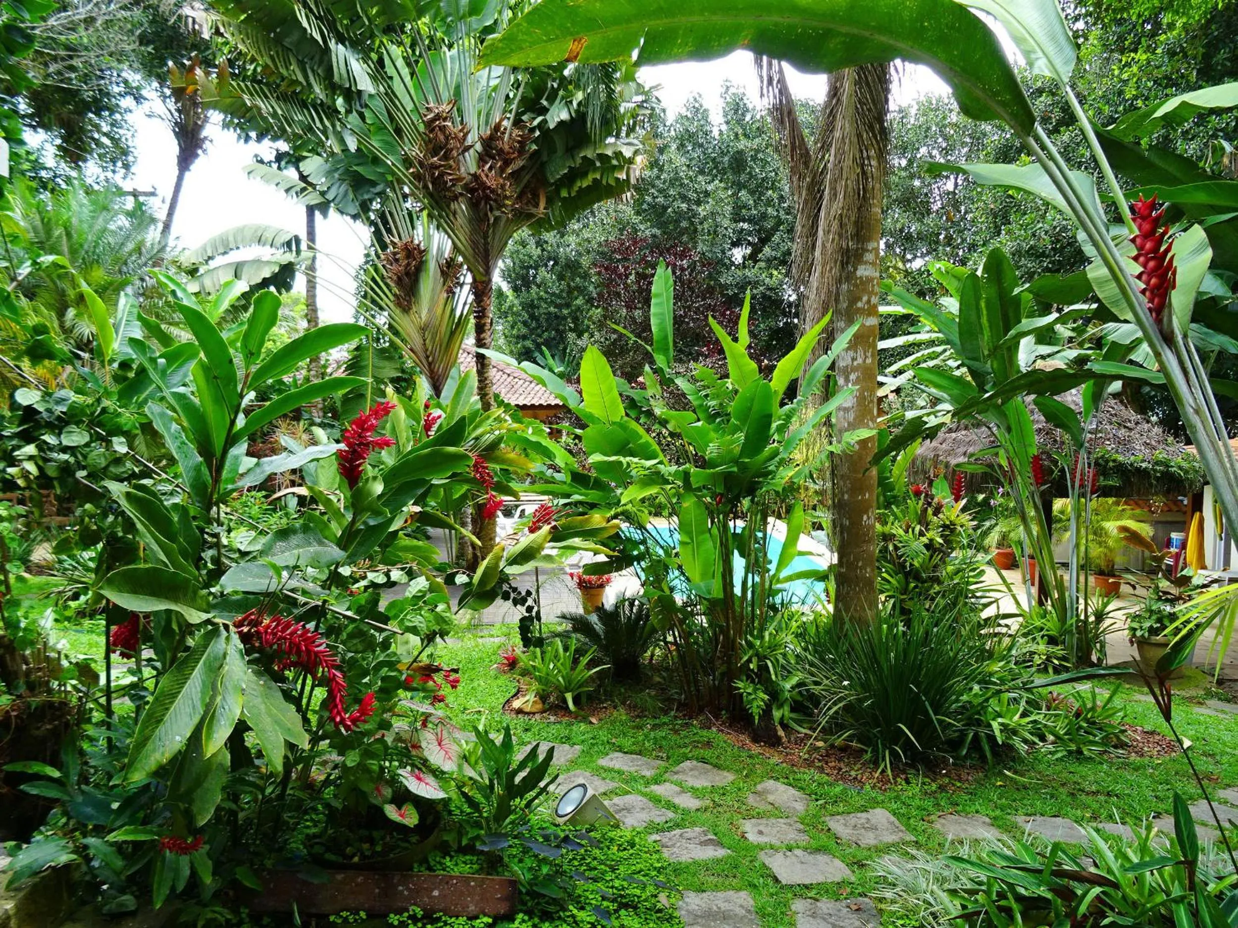 Garden in Pousada Recanto das Estrelas