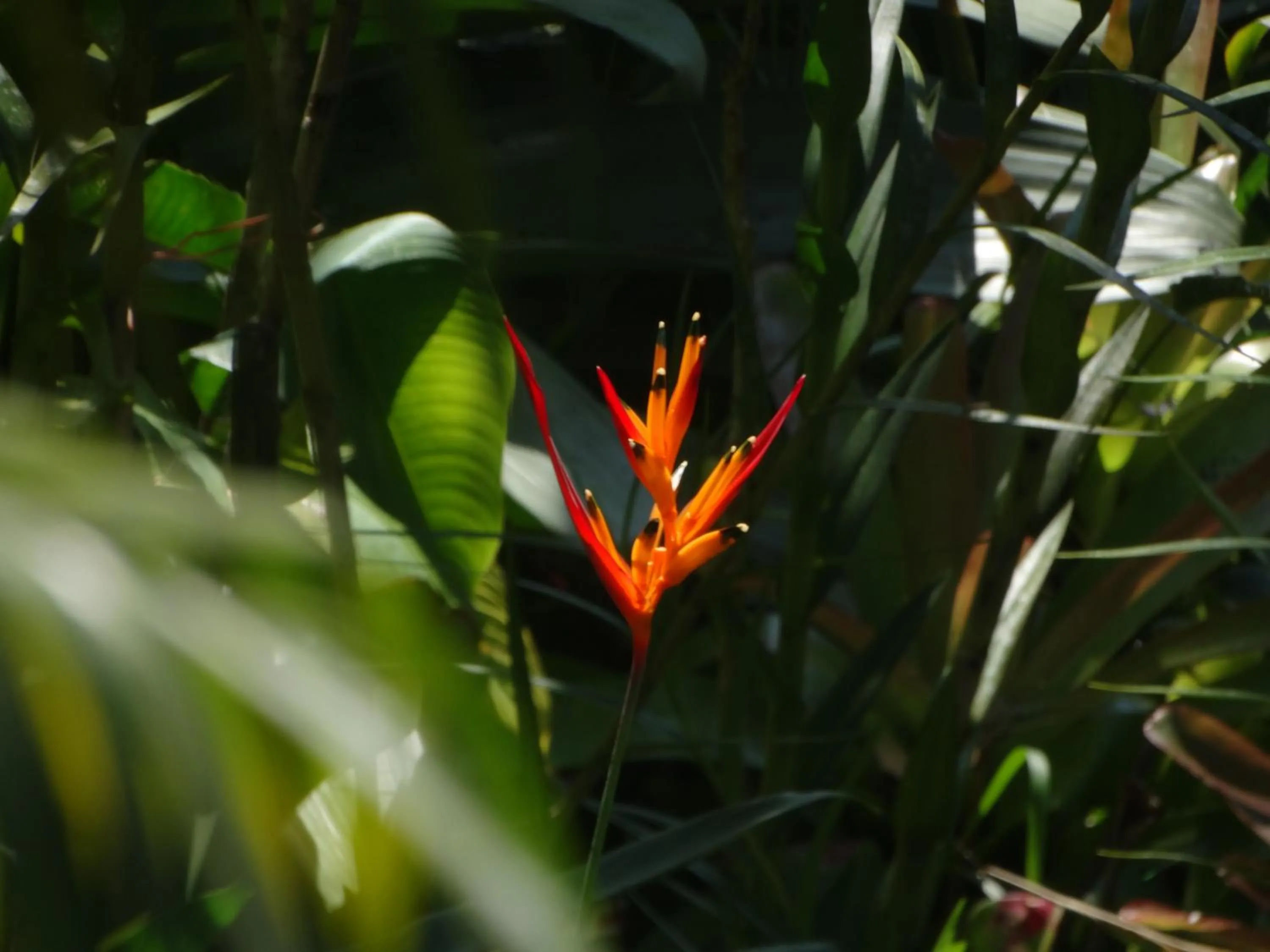 Pousada Recanto das Estrelas