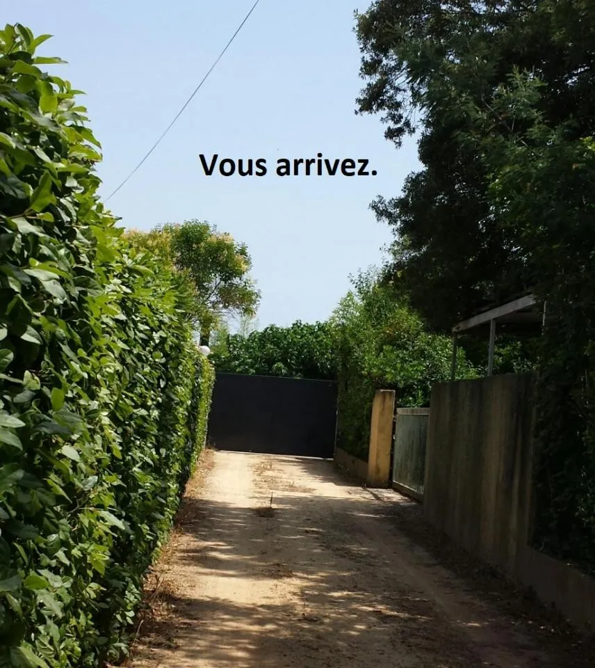 Breakfast in Sous le mûrier