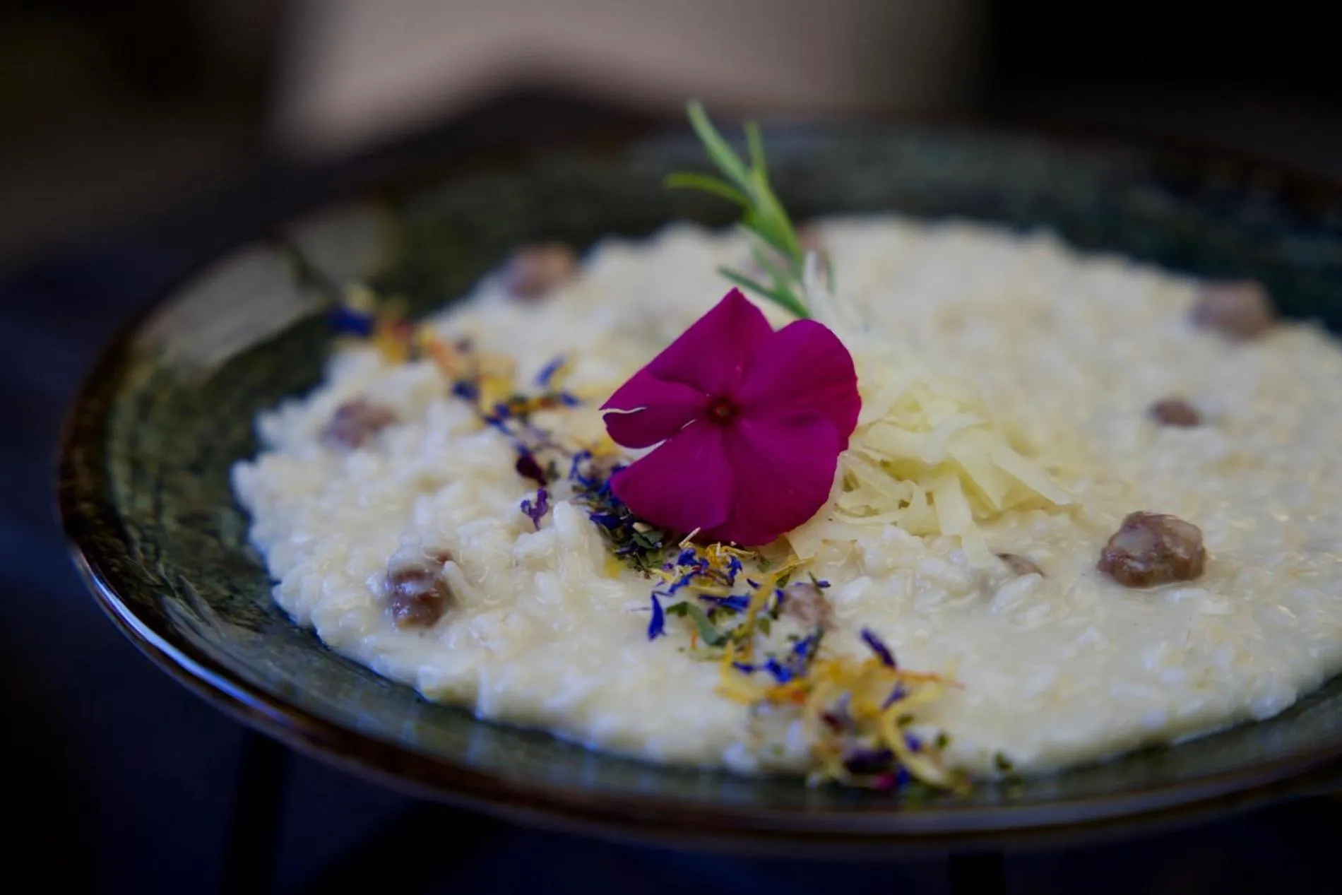 Restaurant/places to eat in Seta Hotel