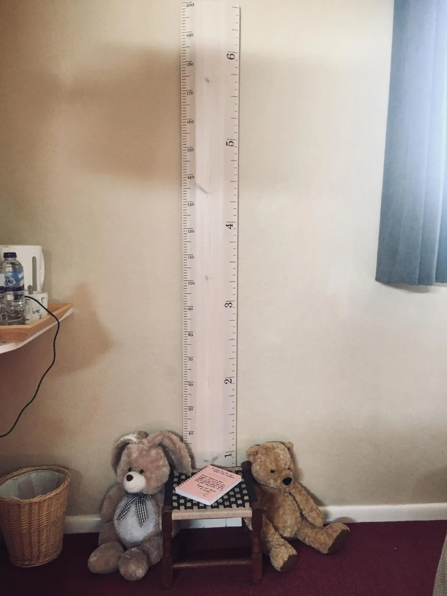 Family in The Fernside