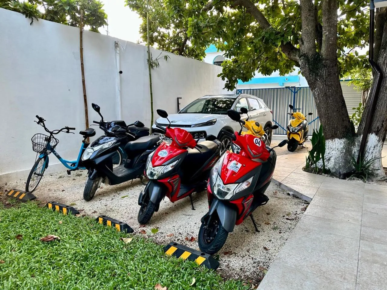 Cycling in Cozumel 400A - Vacation Rental