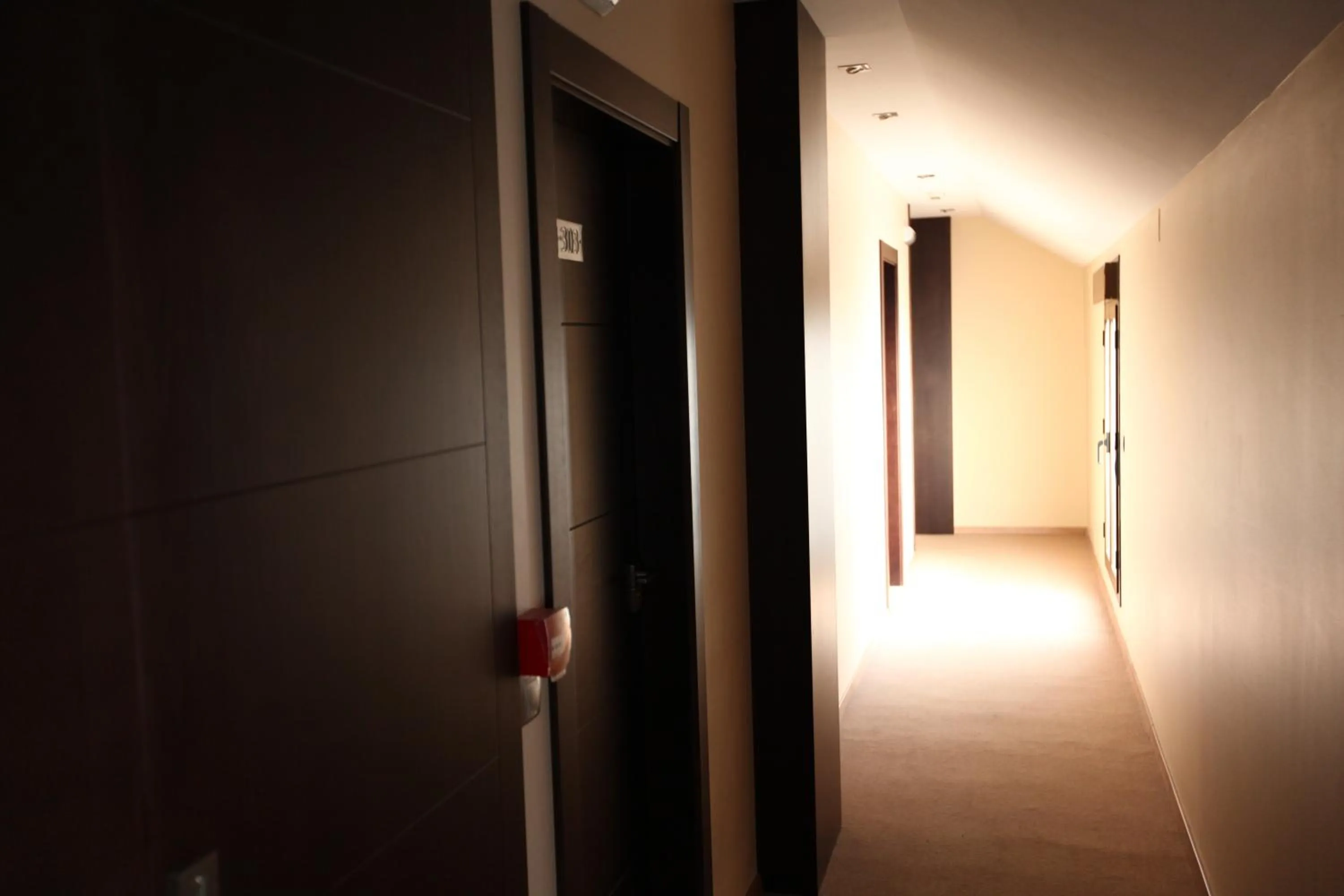 Area and facilities in Hotel Anabel Baza