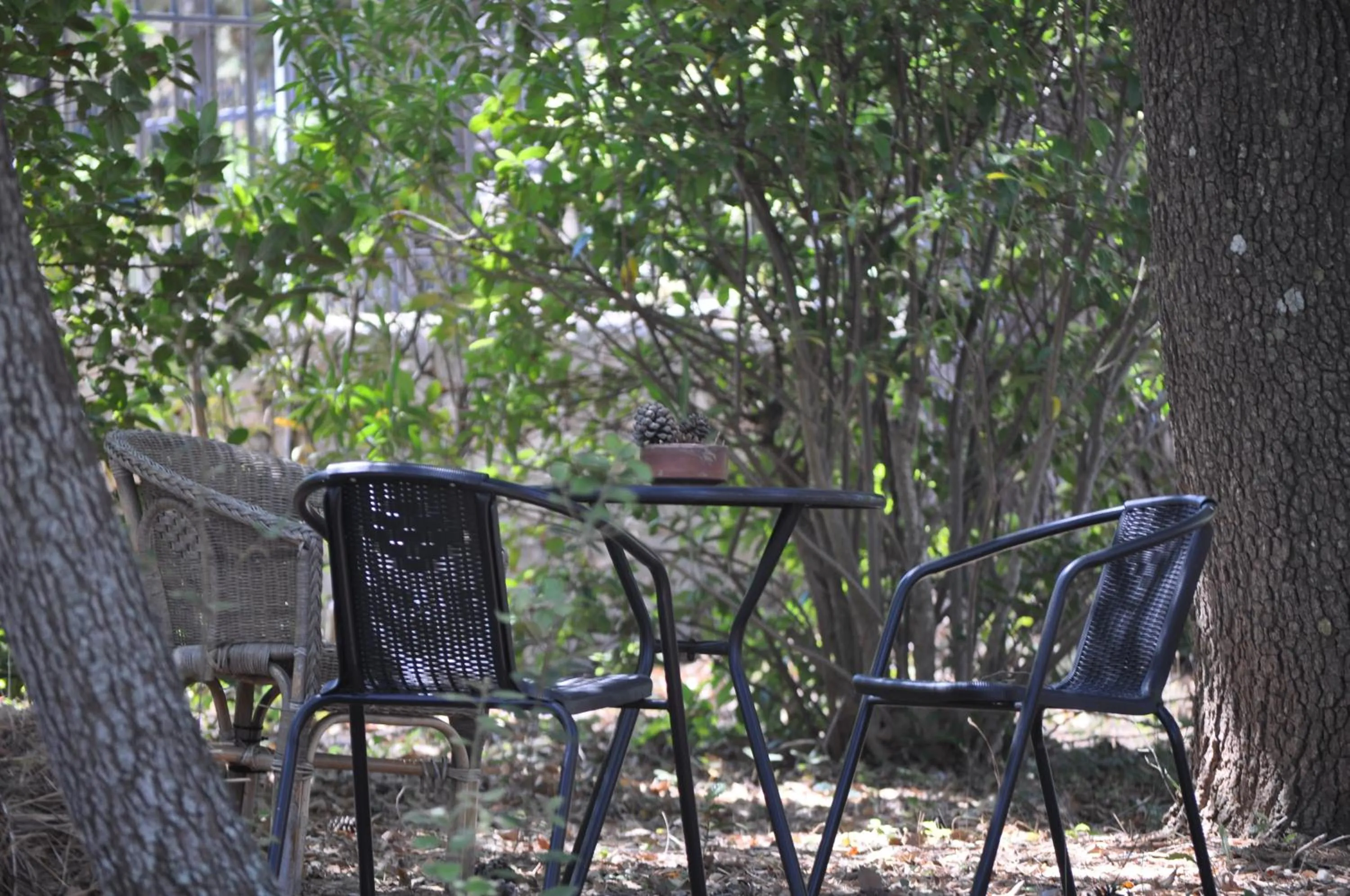 Garden in B&B Villa Rosanna