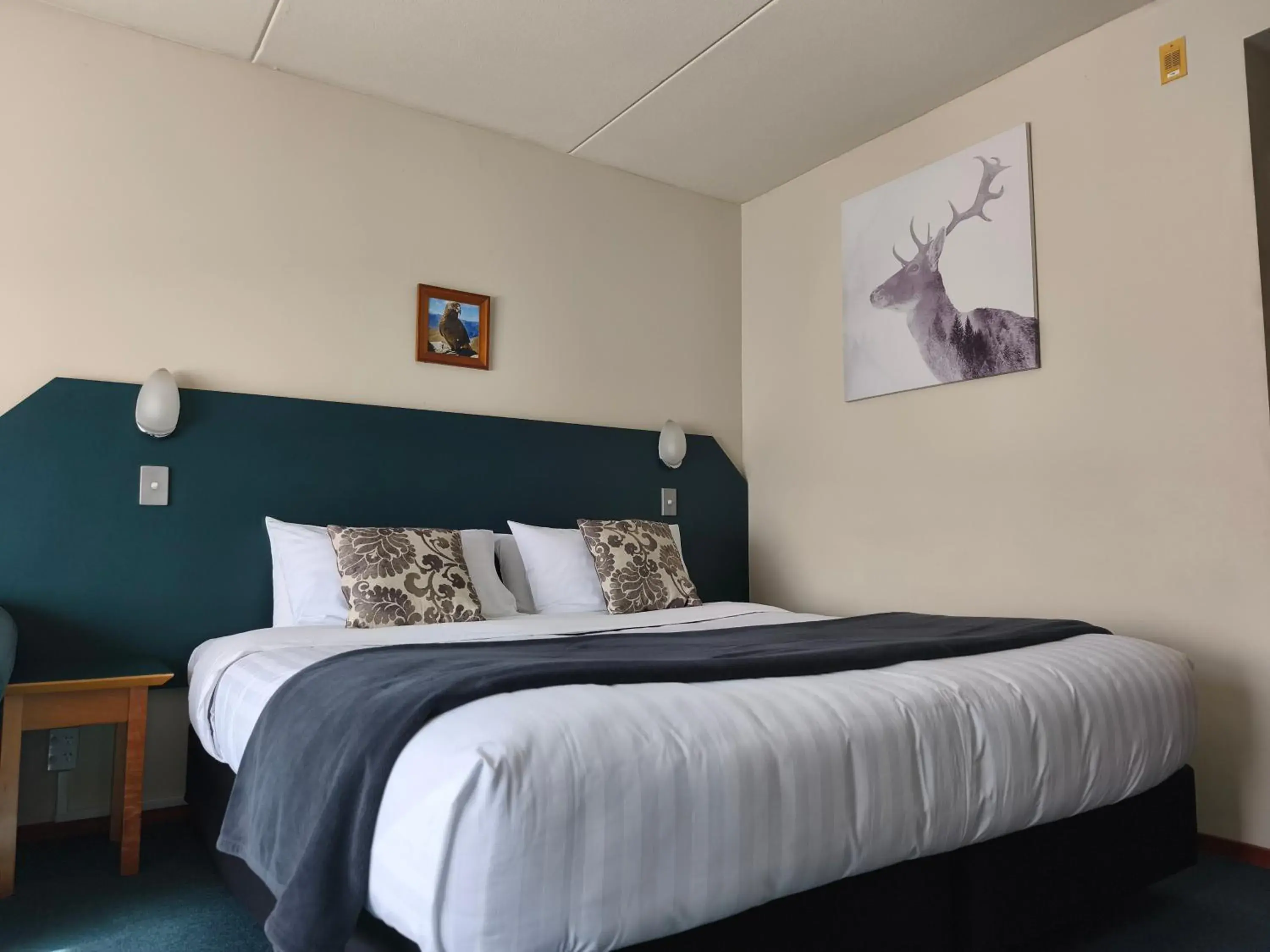 Studio - Disability Access in Aspen Lodge Motel Studio - Disability Access in Aspen Lodge Motel